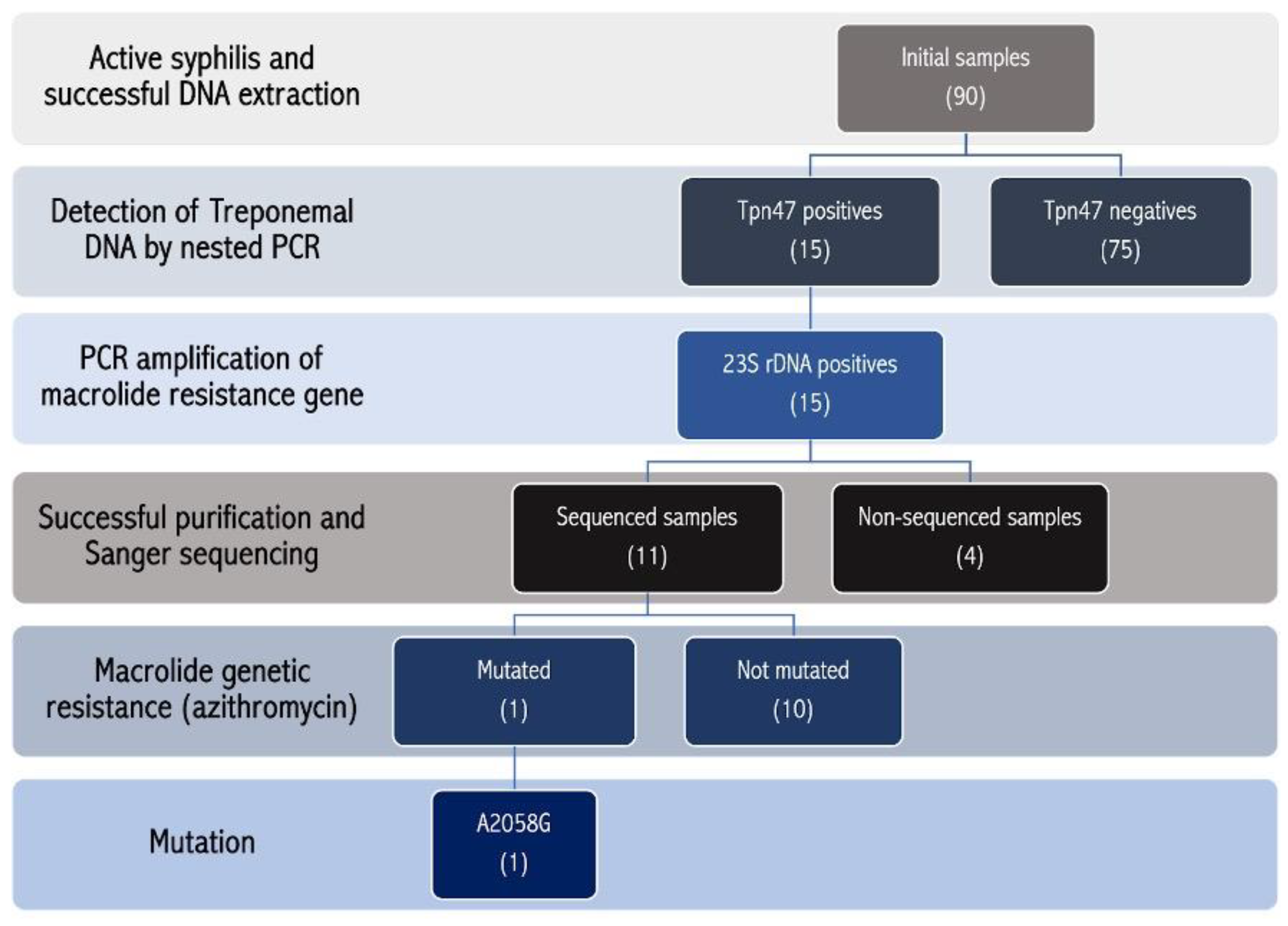 Microorganisms 13 01069 g004