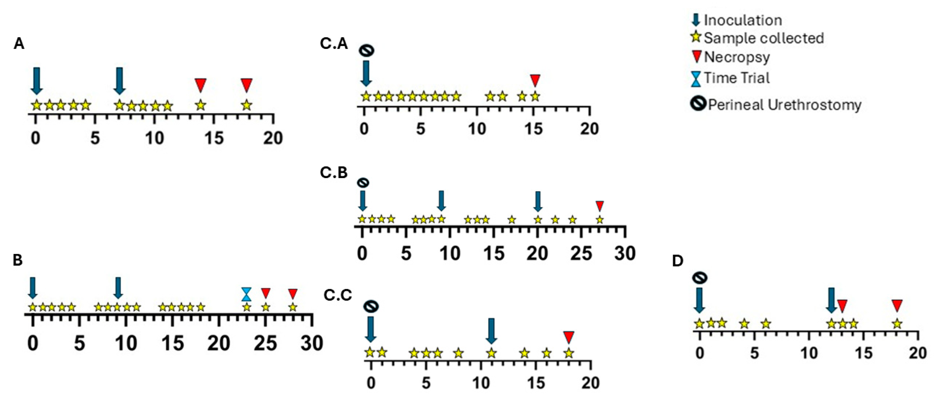 Microorganisms 13 01070 g001