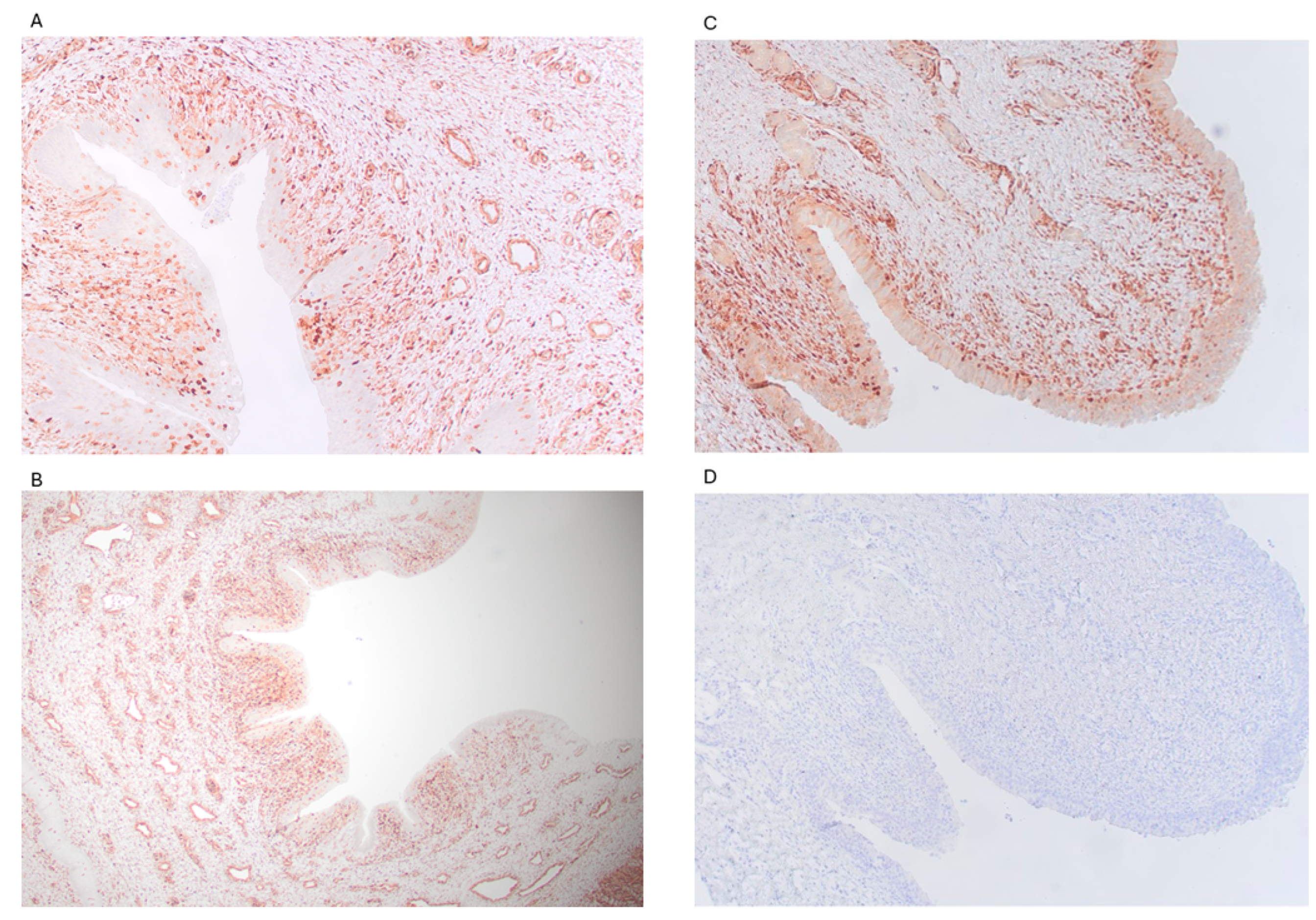 Microorganisms 13 01070 g005