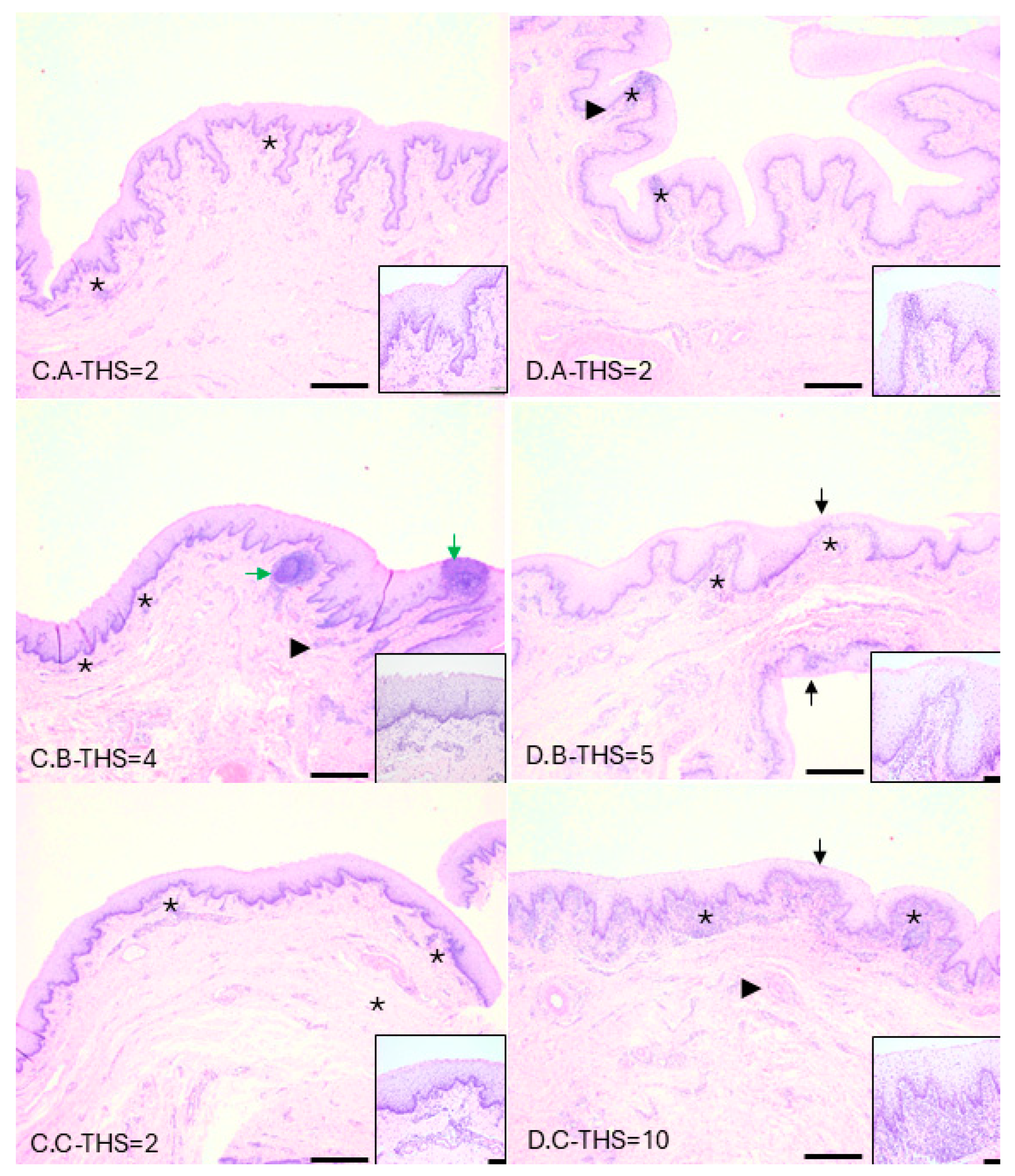 Microorganisms 13 01070 g008