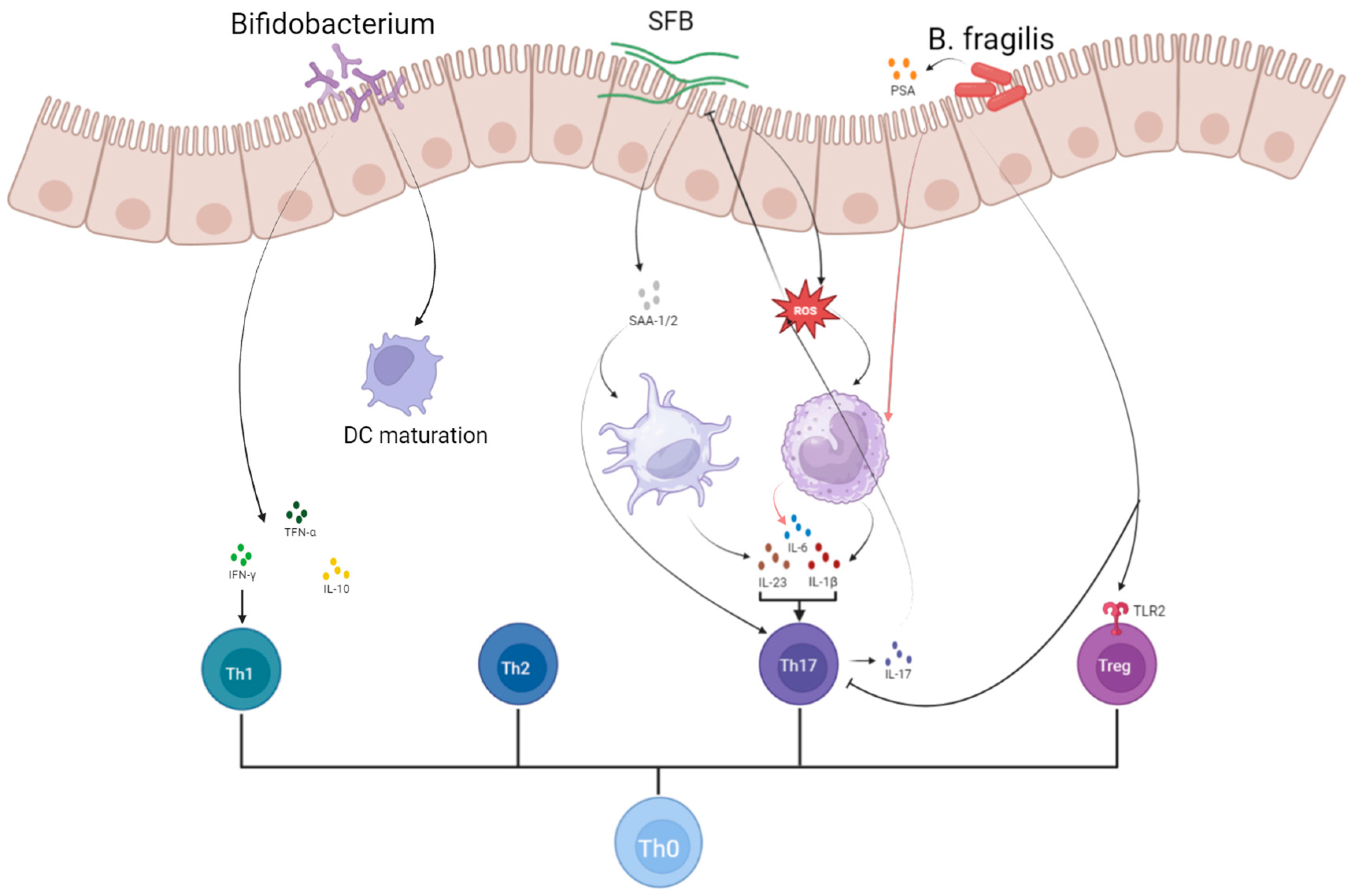 Microorganisms 13 01073 g002