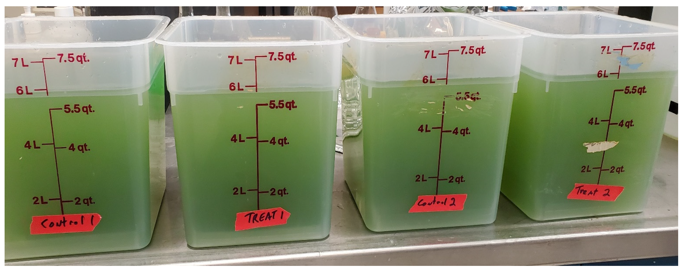 Microorganisms 13 01074 g001