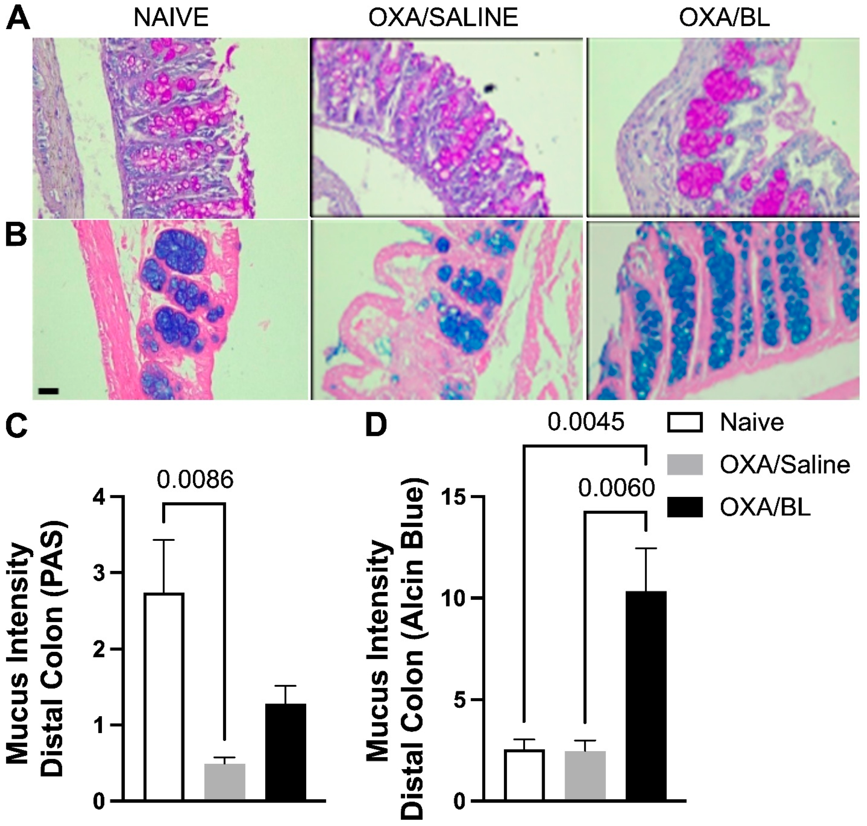 Microorganisms 13 01082 g007