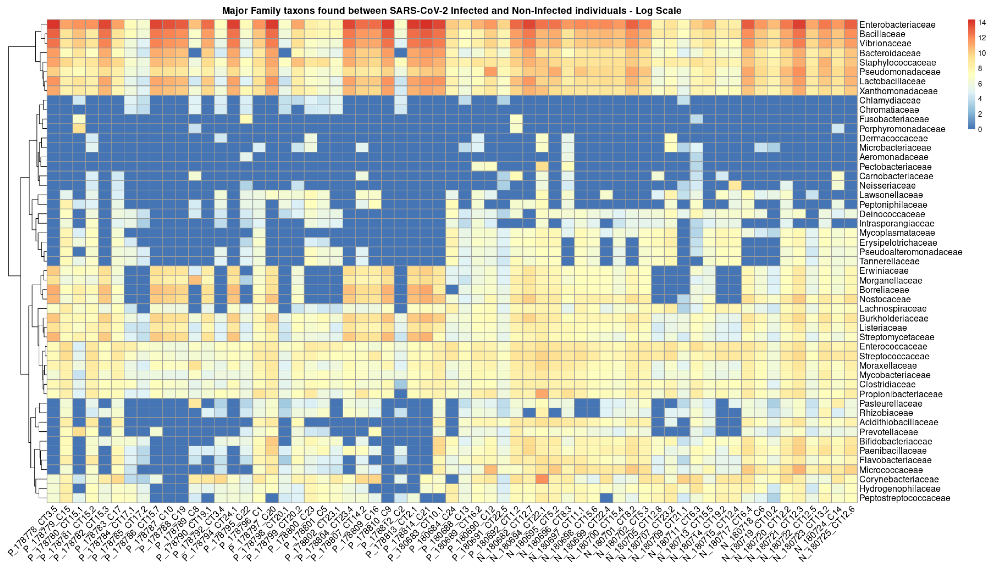 Microorganisms 13 01088 g002