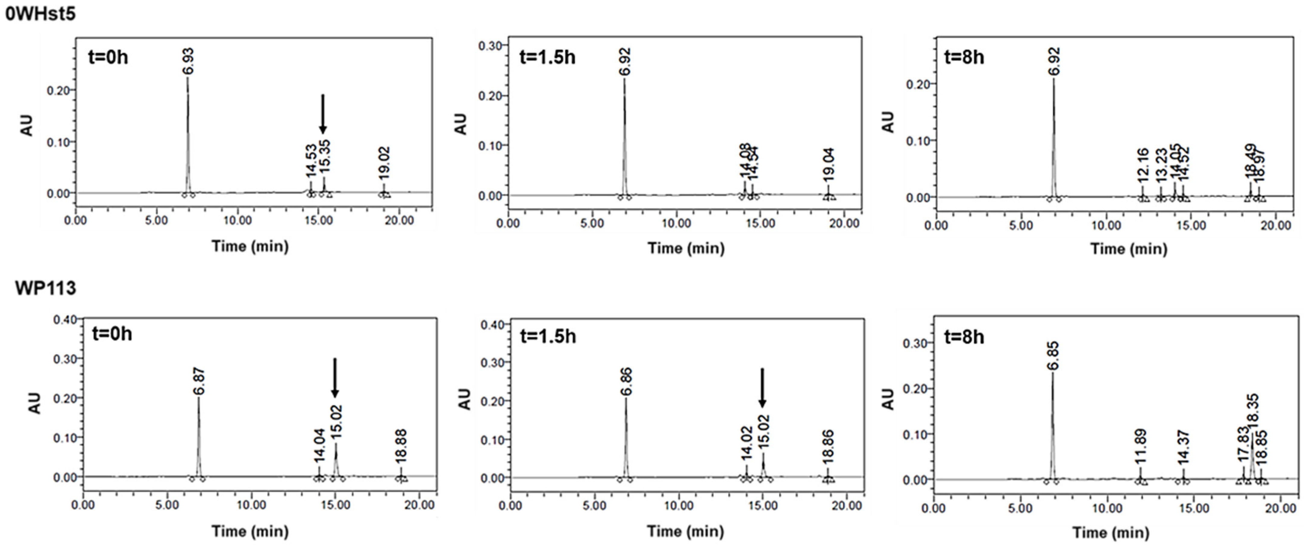 Microorganisms 13 01091 g008