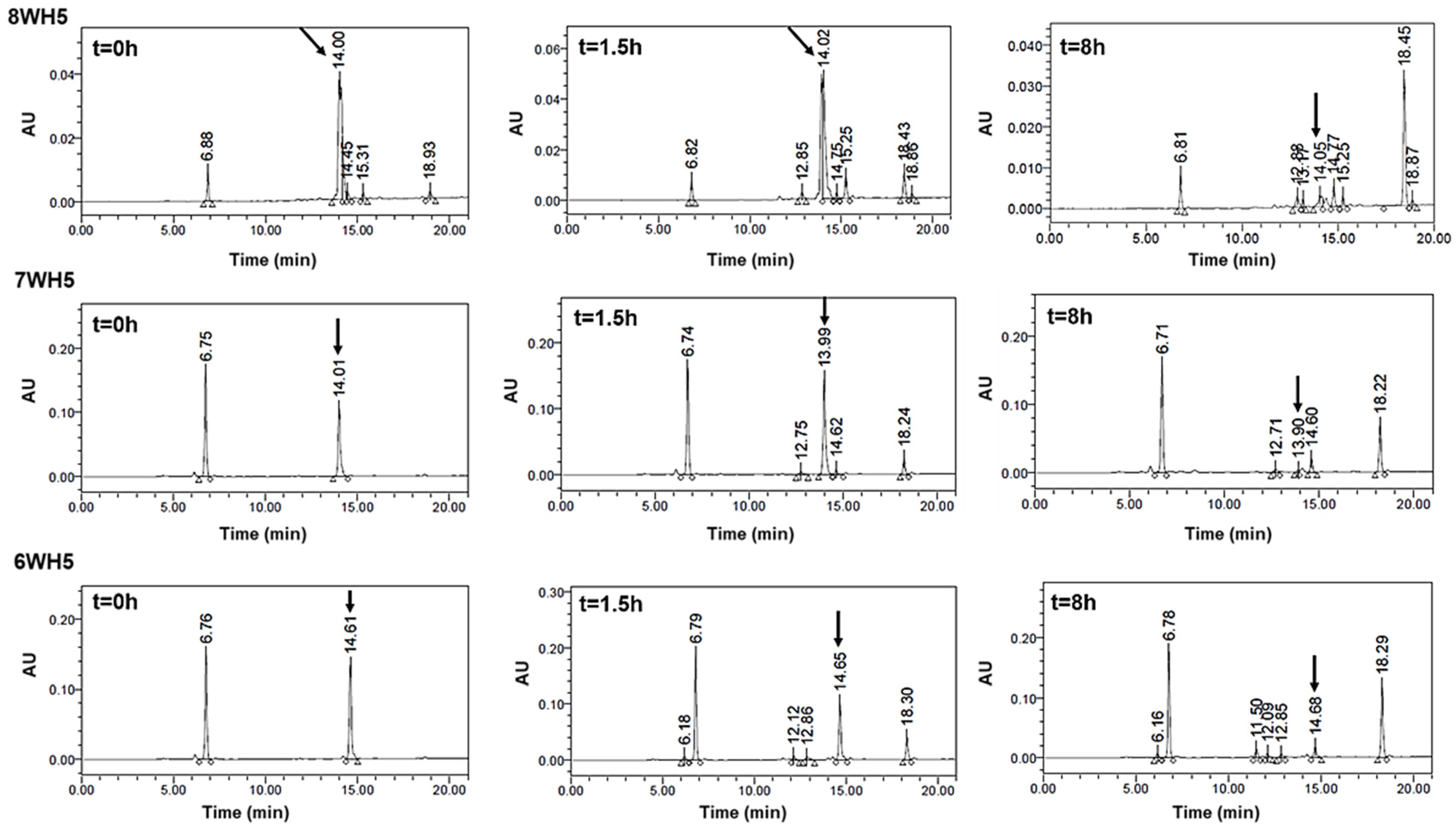 Microorganisms 13 01091 g009
