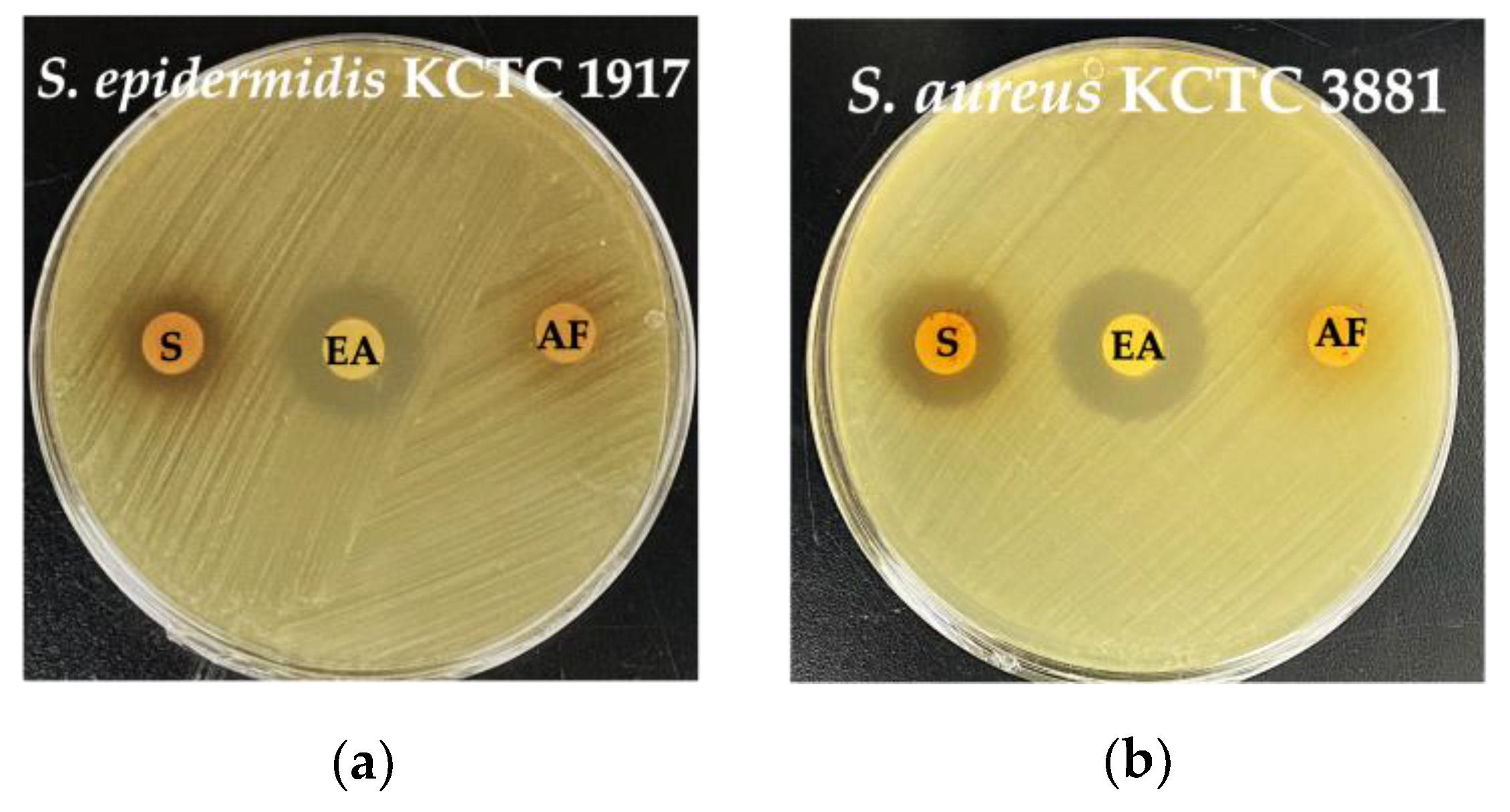Microorganisms 13 01093 g004
