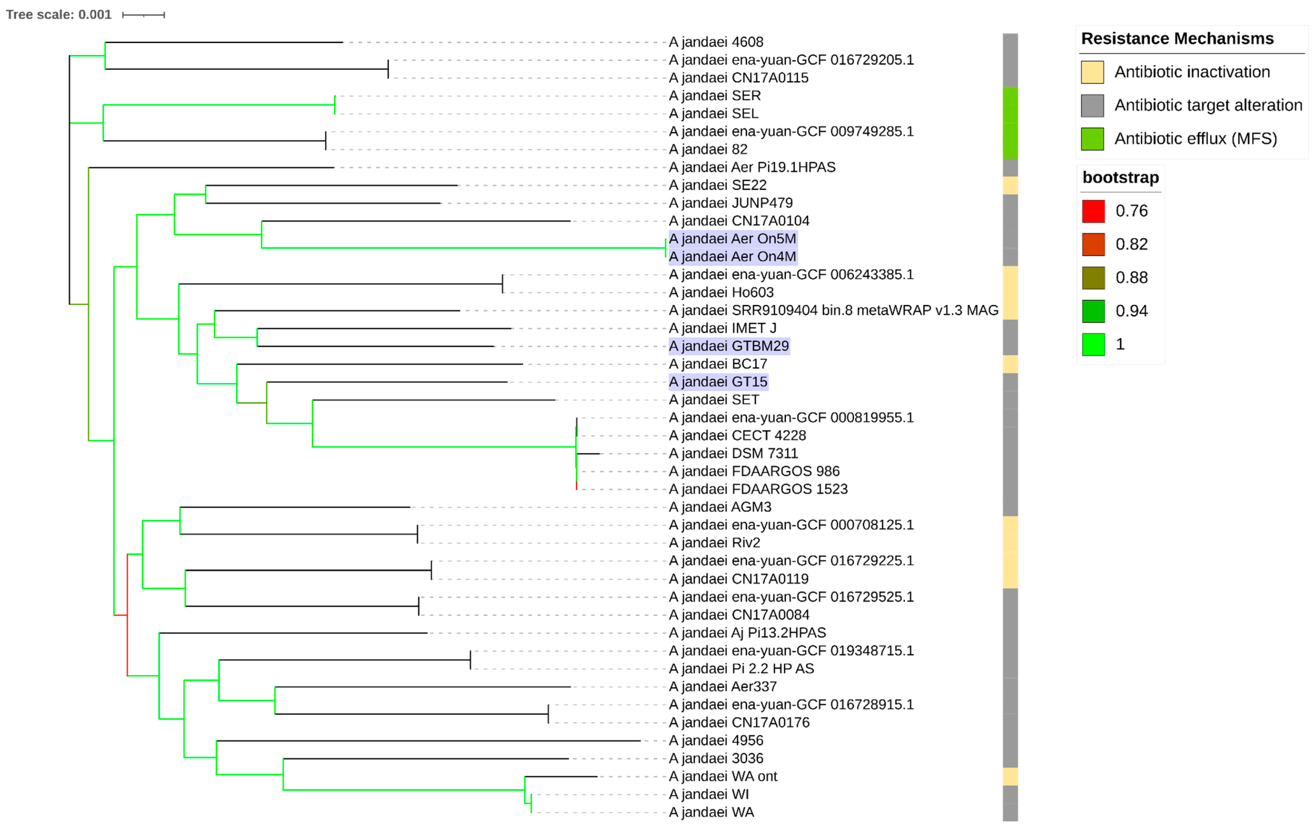 Microorganisms 13 01094 g002