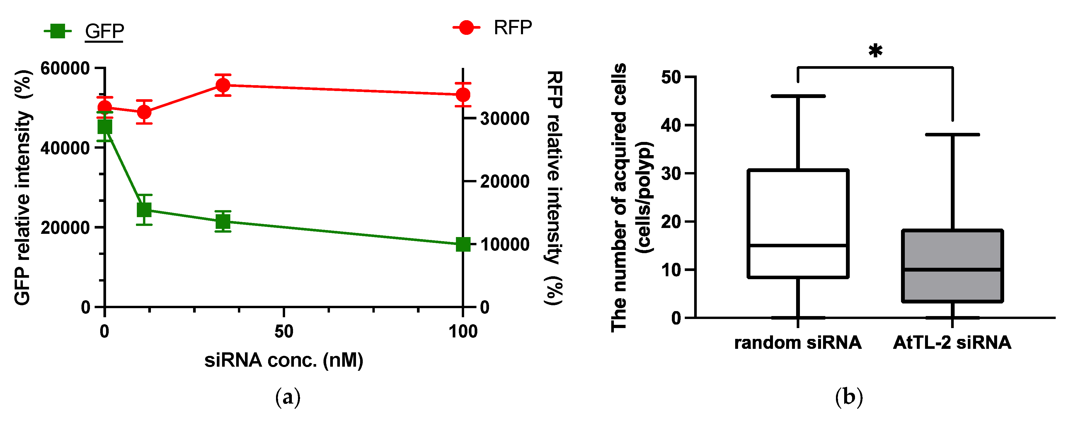 Microorganisms 13 01095 g002