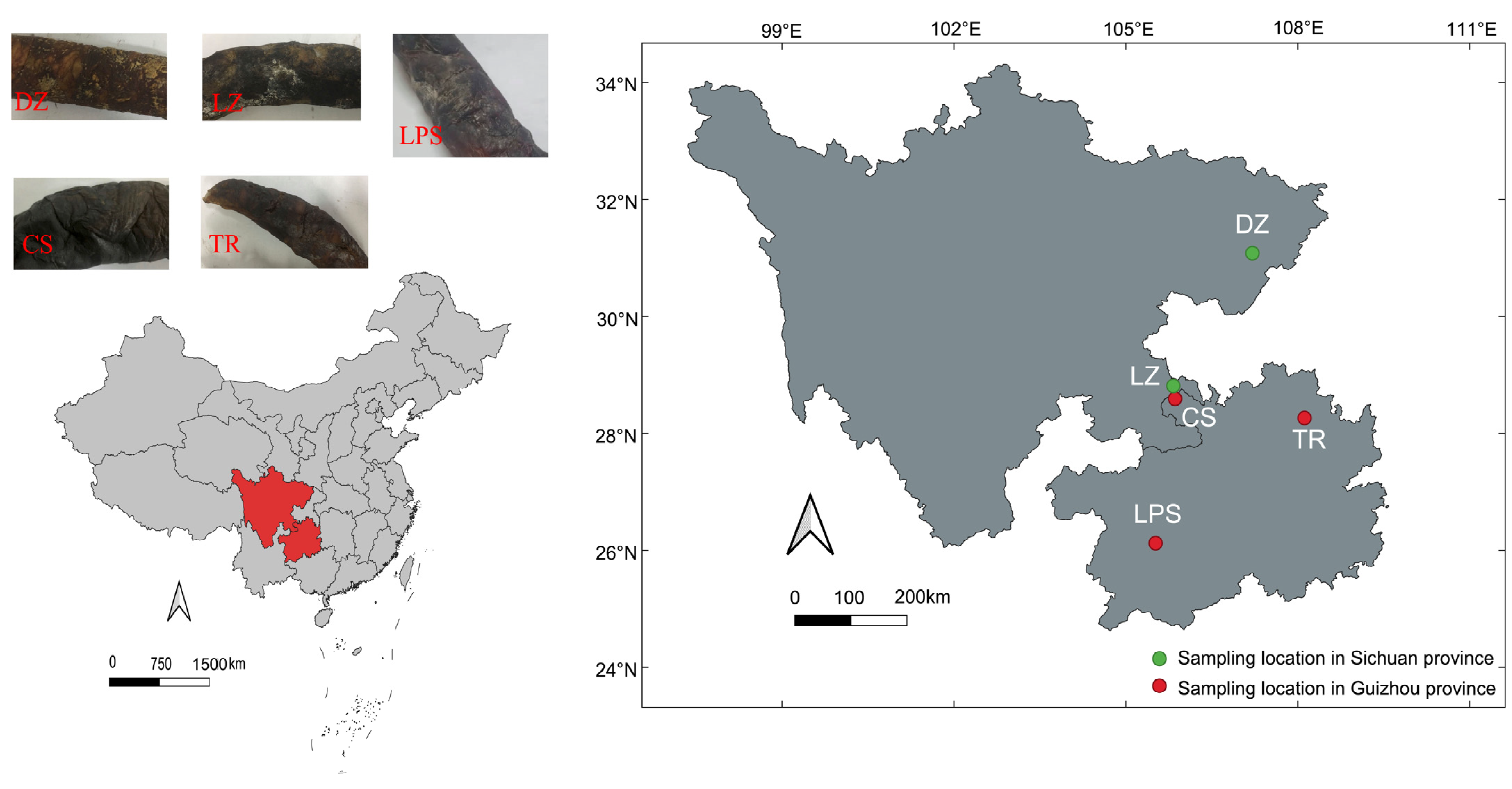 Microorganisms 13 01096 g001