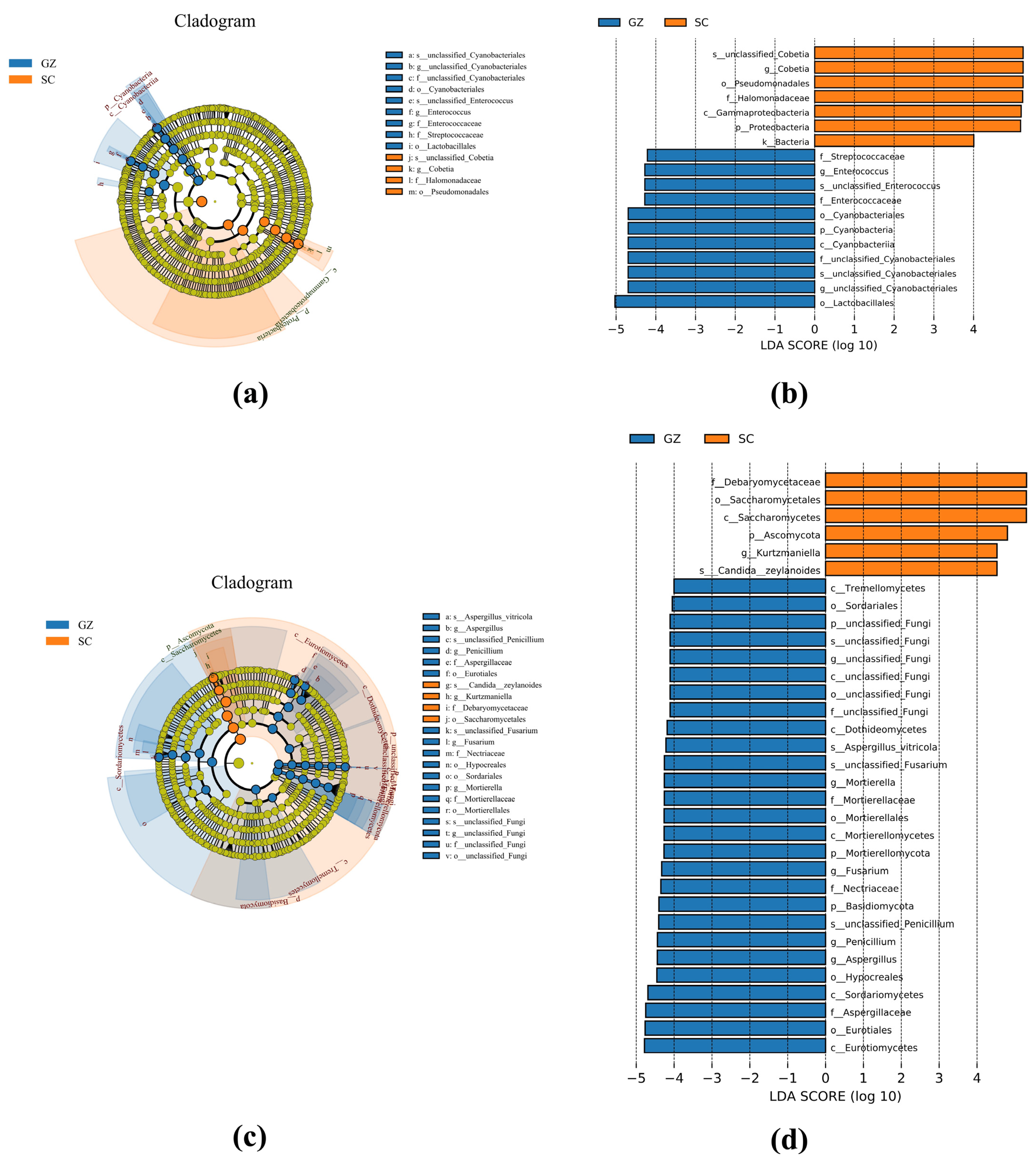Microorganisms 13 01096 g004
