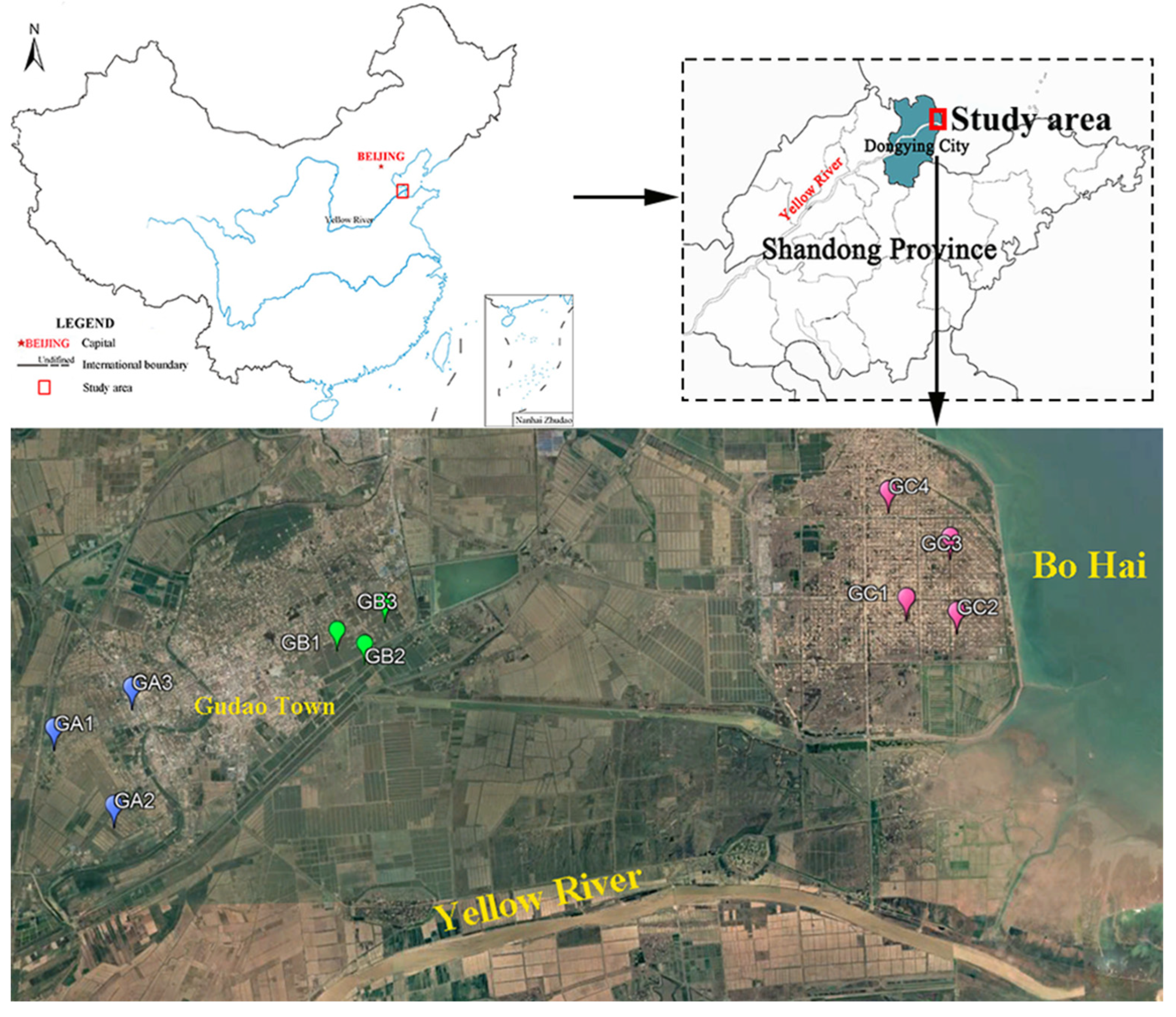 Microorganisms 13 01098 g001