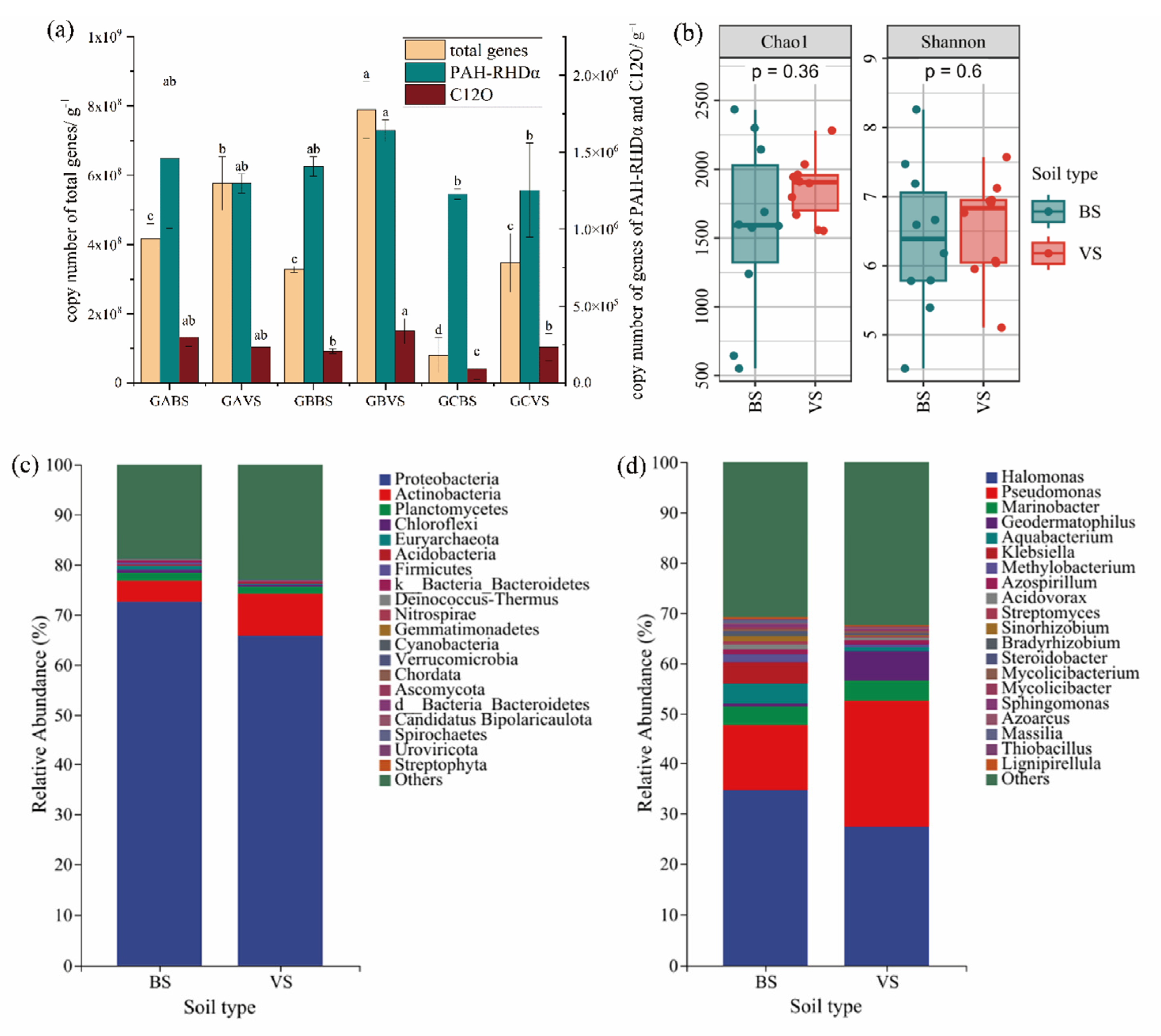 Microorganisms 13 01098 g003