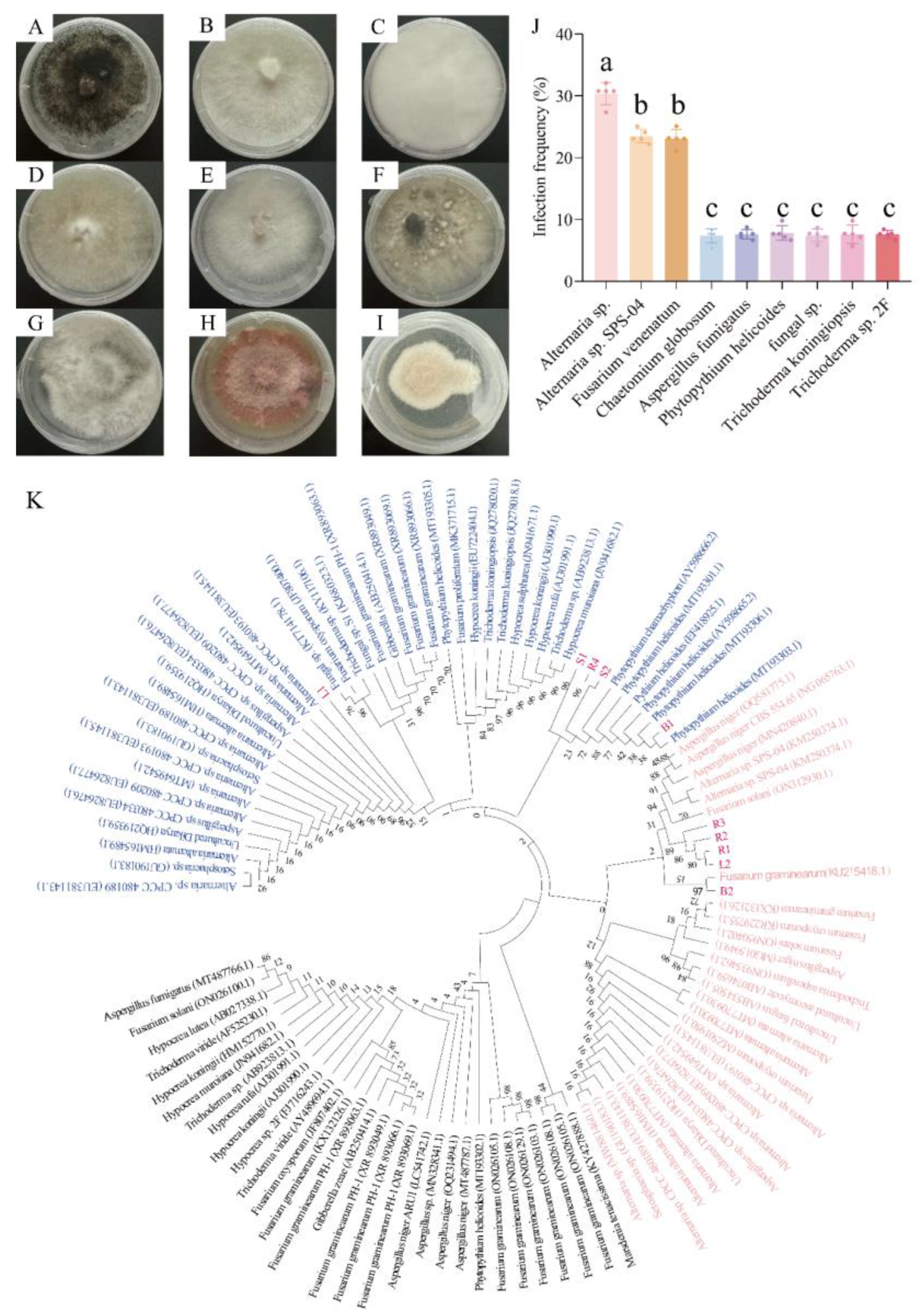 Microorganisms 13 01103 g003