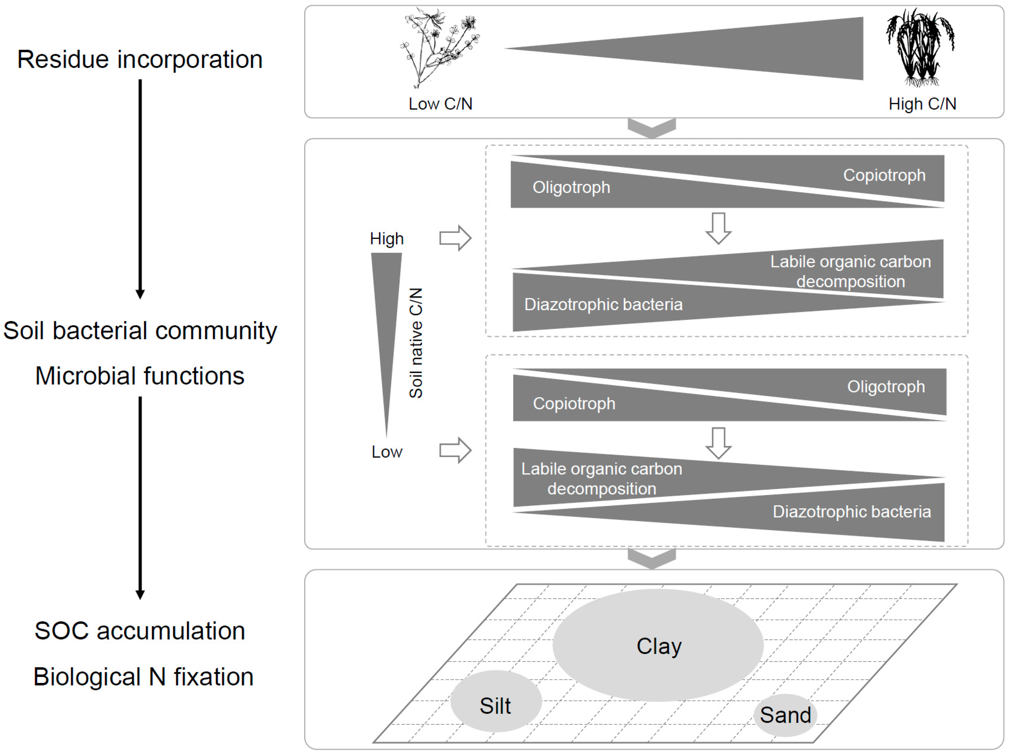 Microorganisms 13 01104 g007
