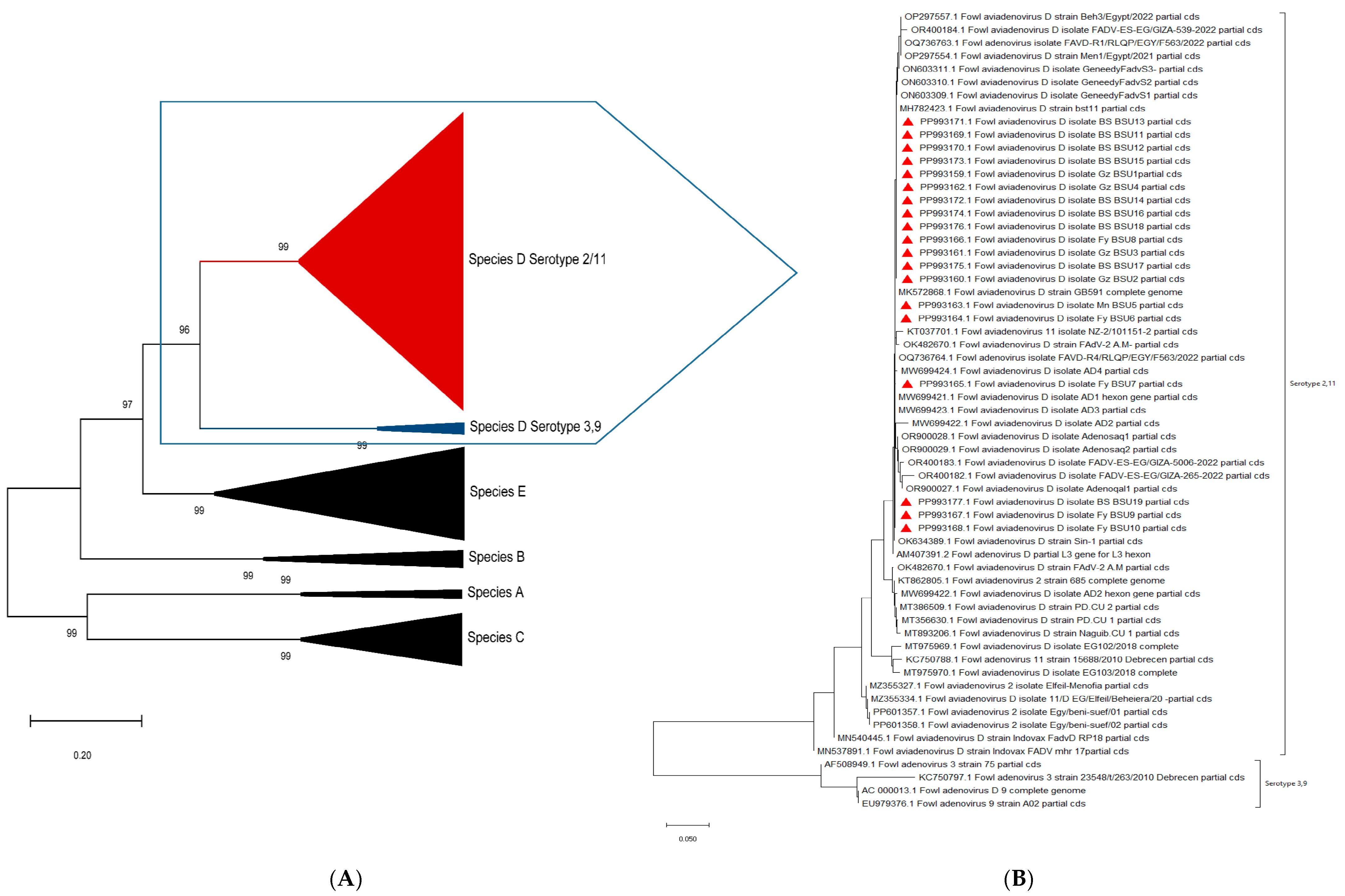 Microorganisms 13 01107 g005