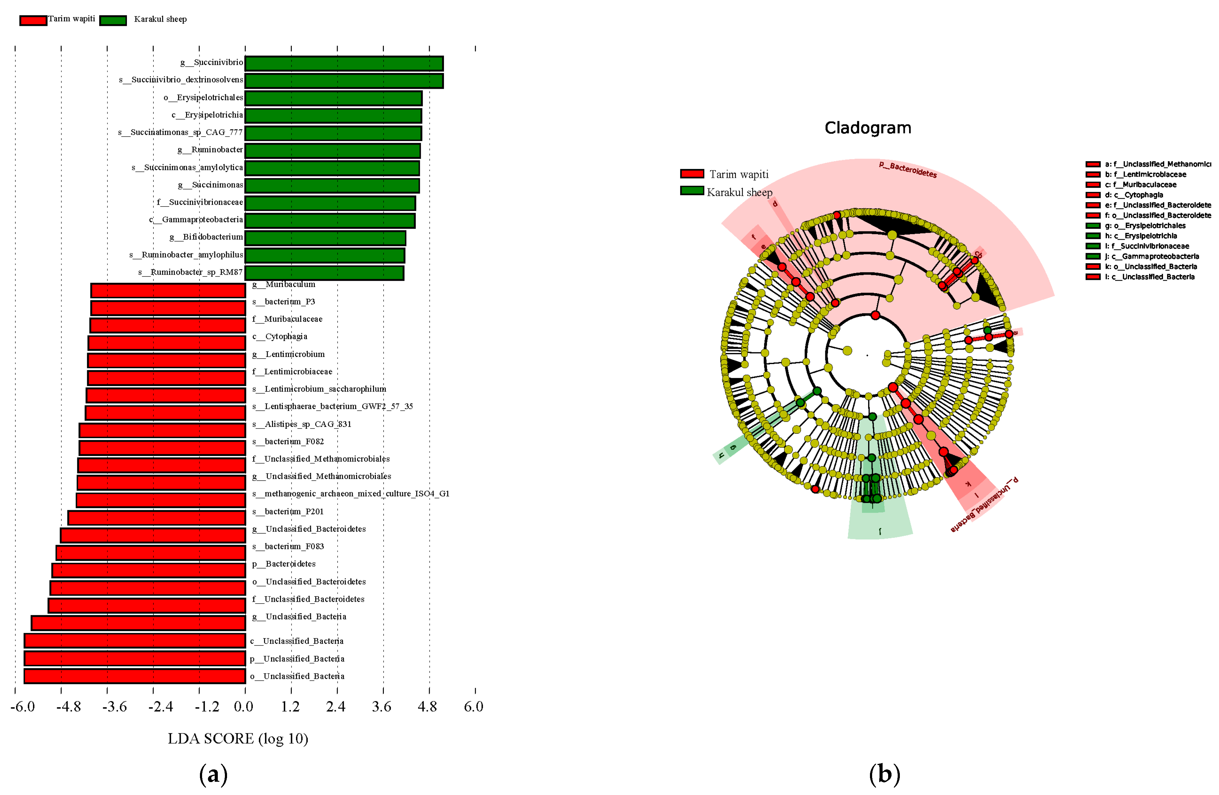 Microorganisms 13 01111 g003