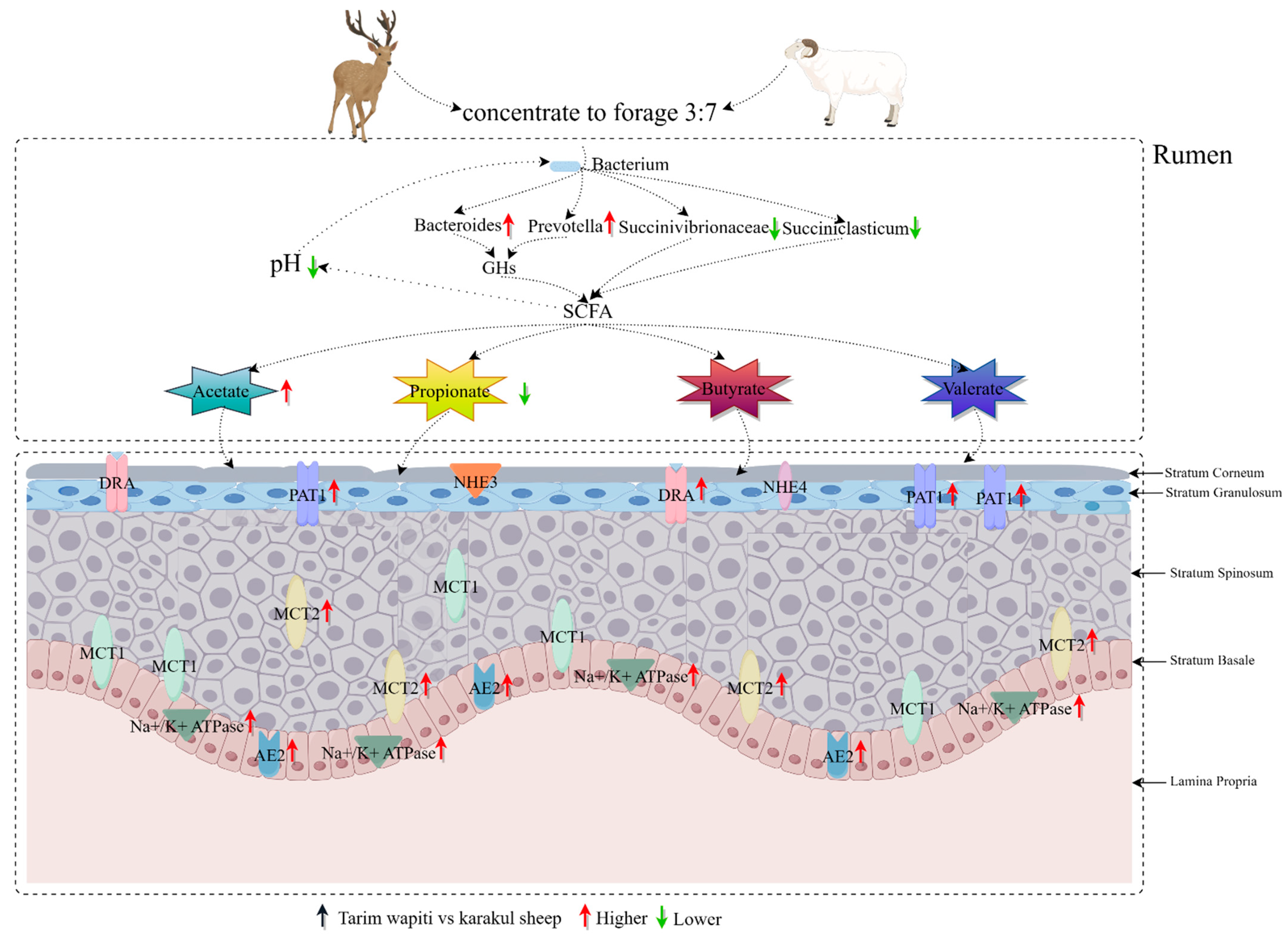 Microorganisms 13 01111 g008