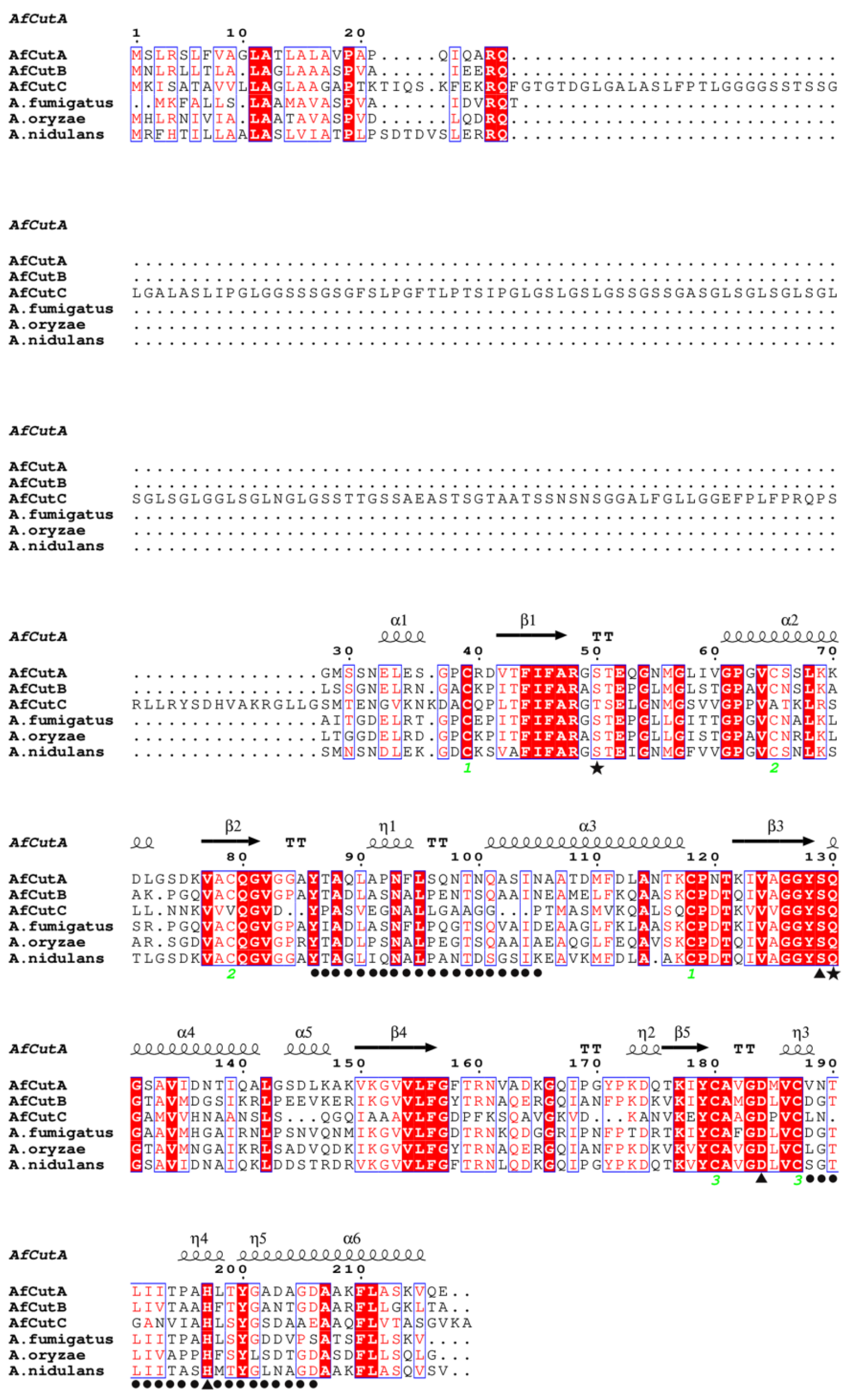 Microorganisms 13 01121 g006