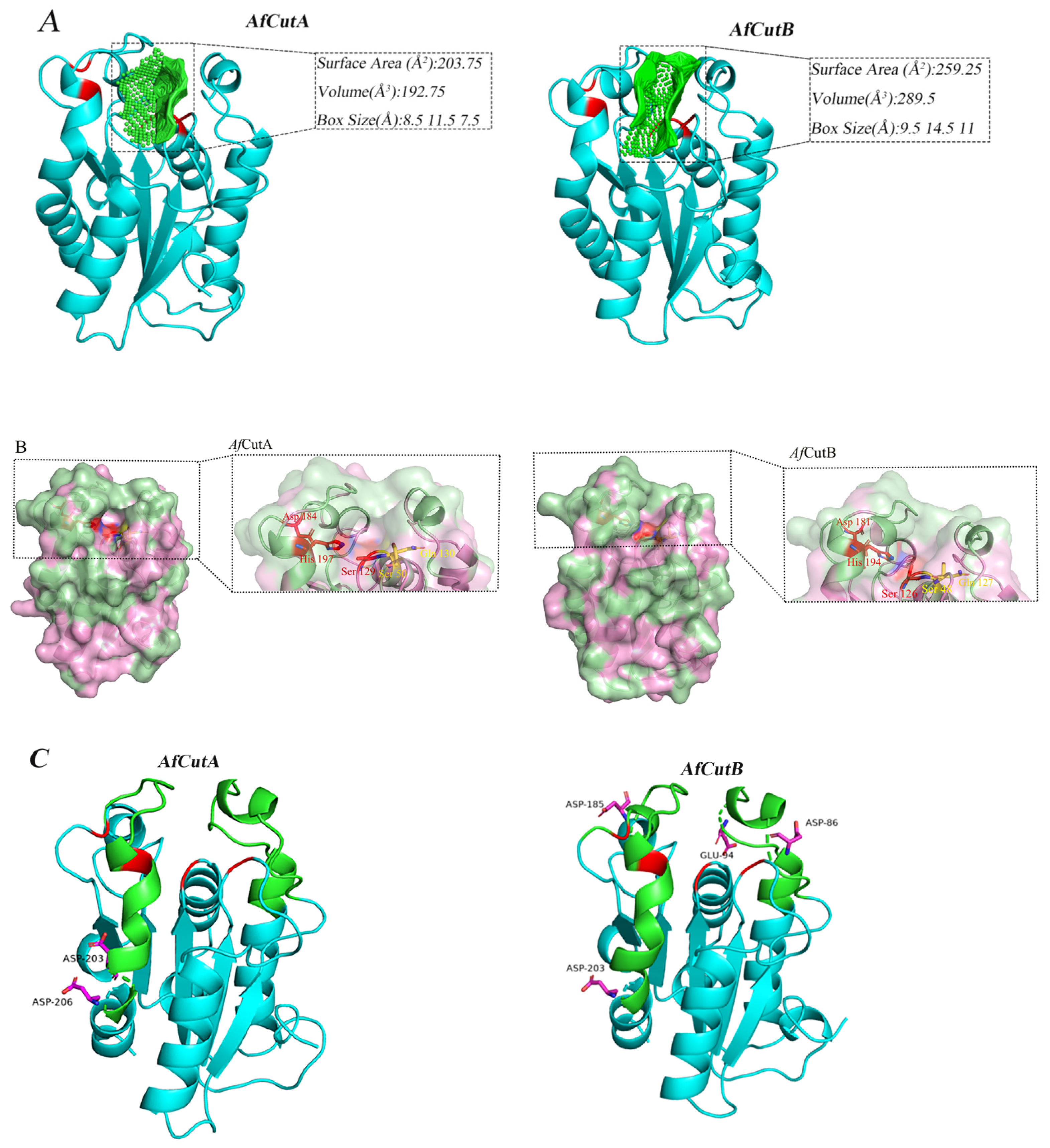 Microorganisms 13 01121 g007