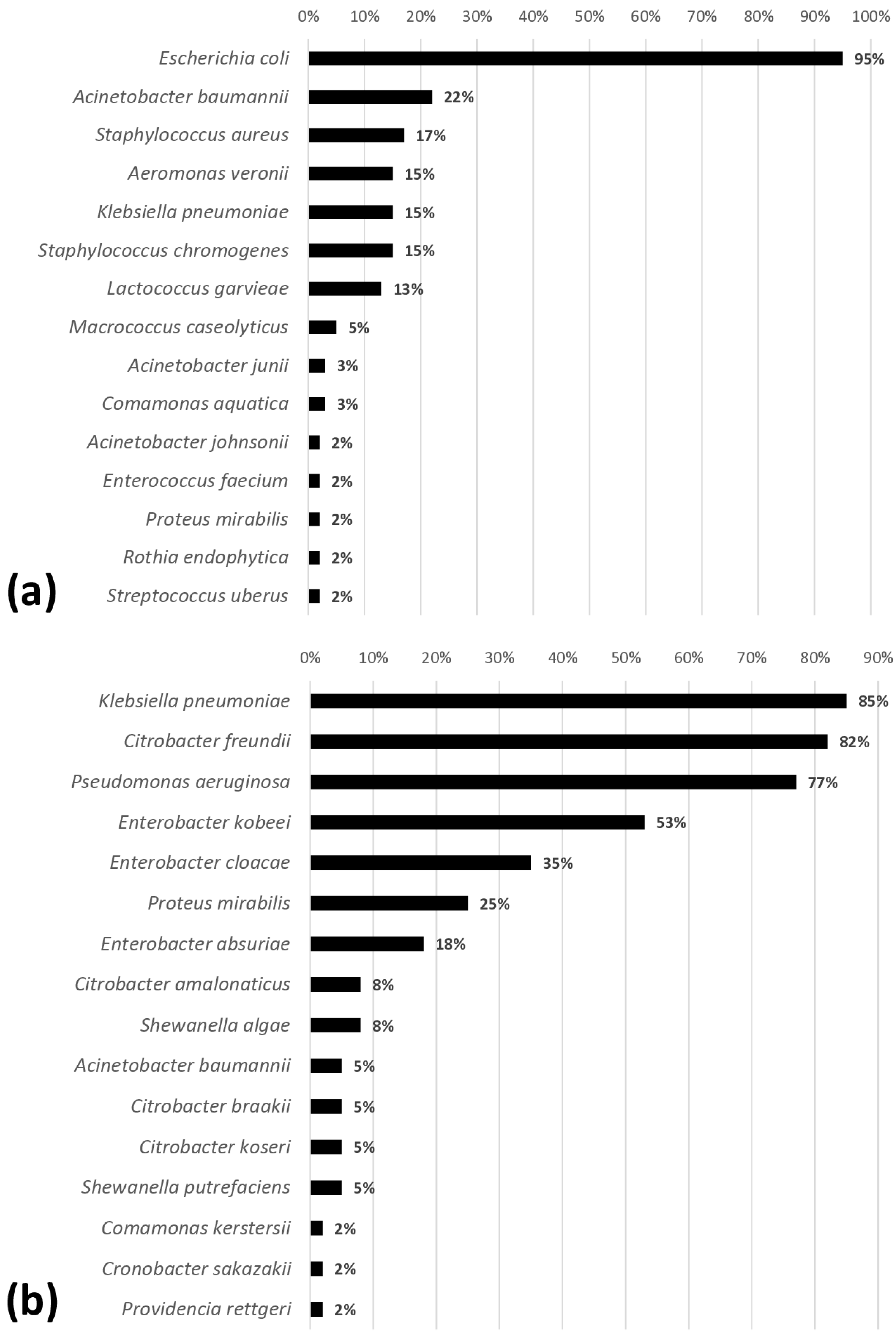 Microorganisms 13 01124 g001