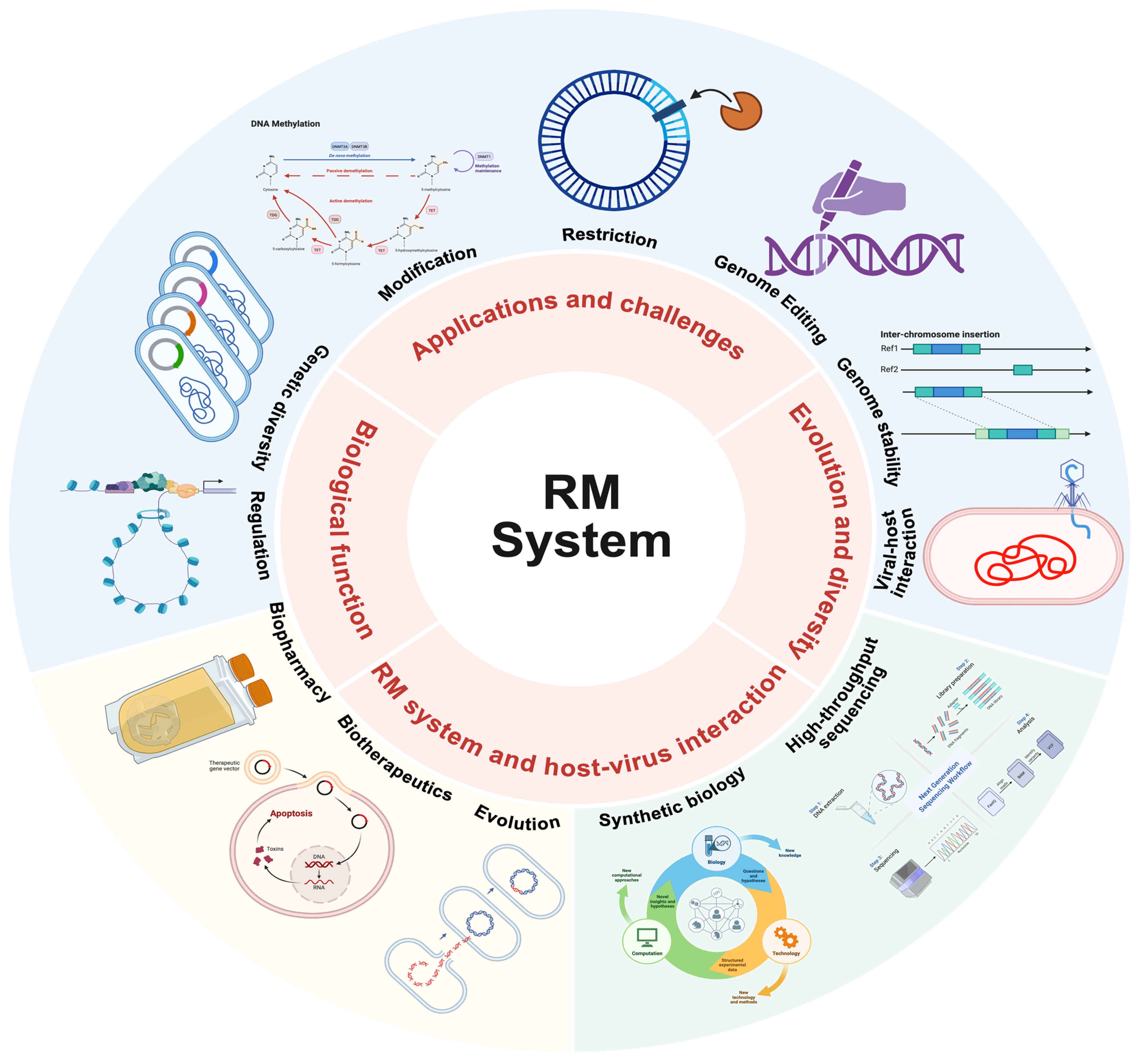 Microorganisms 13 01126 g001