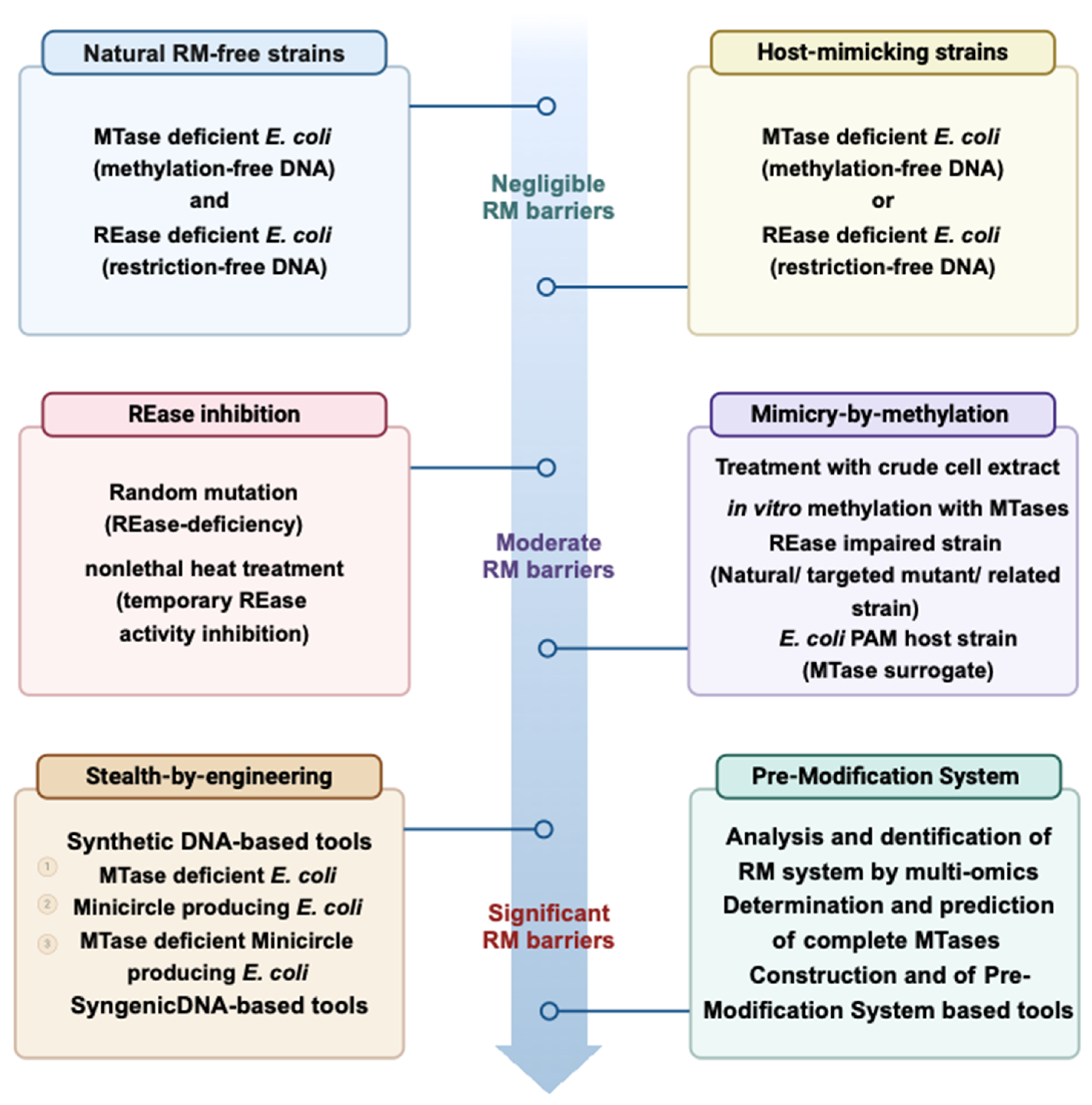 Microorganisms 13 01126 g004