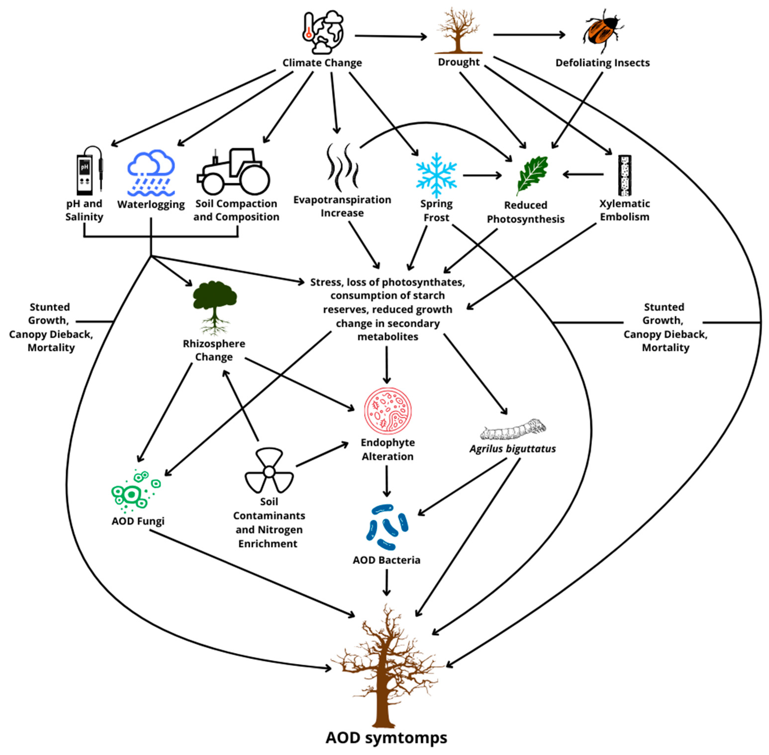 Microorganisms 13 01127 g001