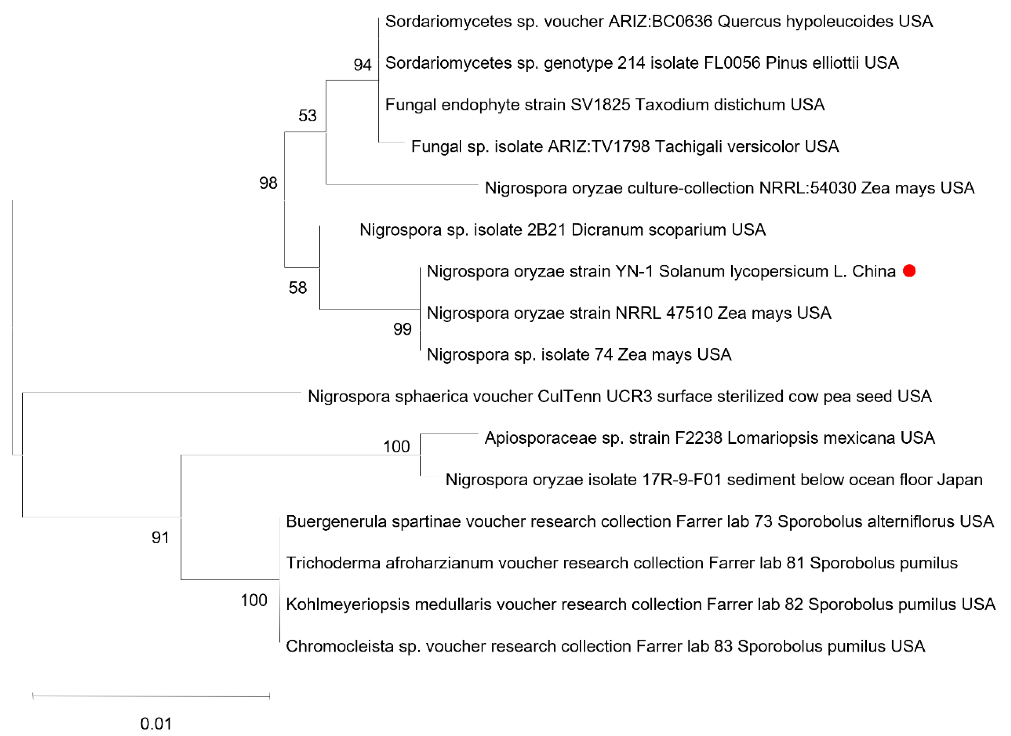 Microorganisms 13 01128 g002