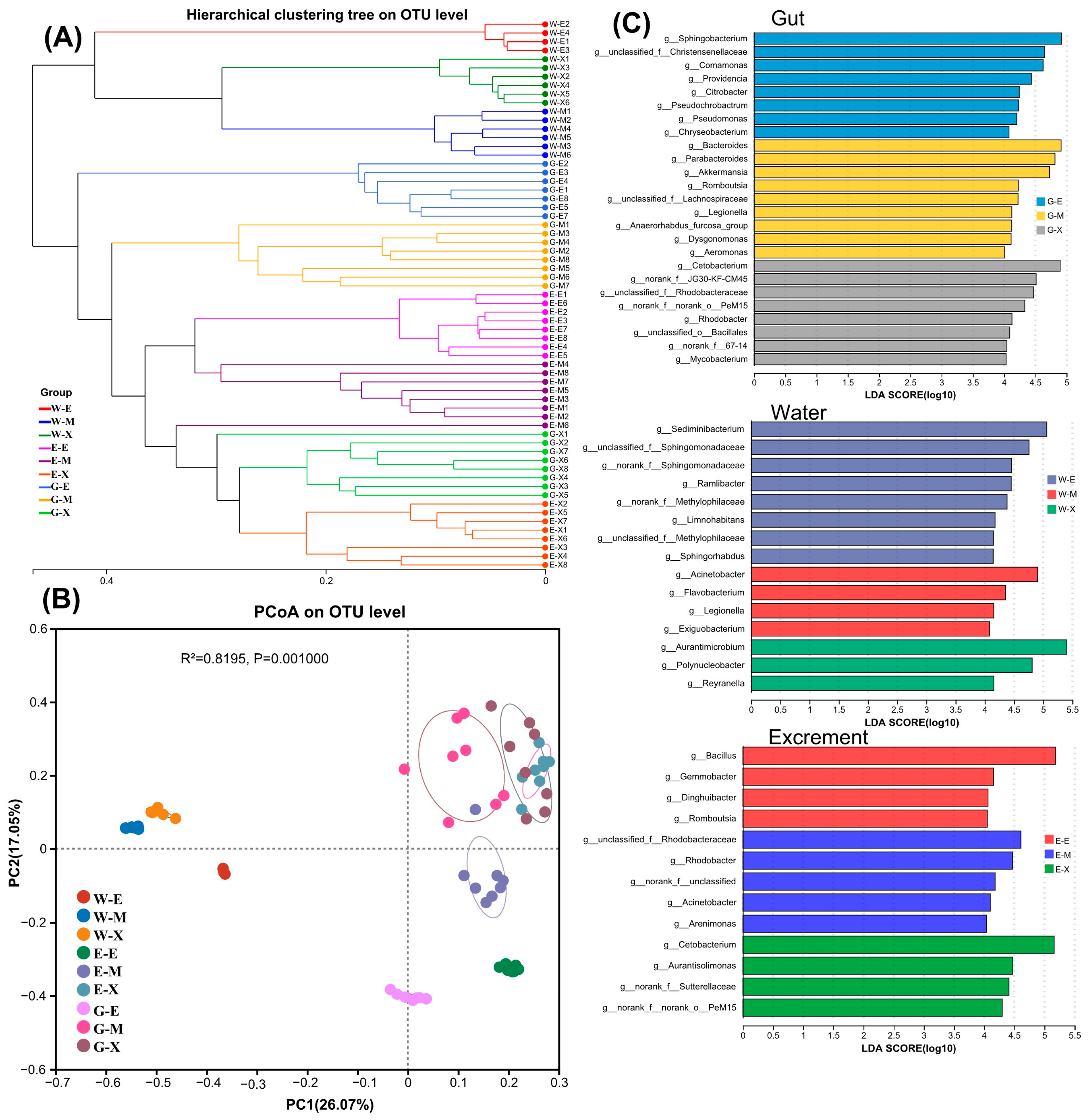 Microorganisms 13 01132 g005