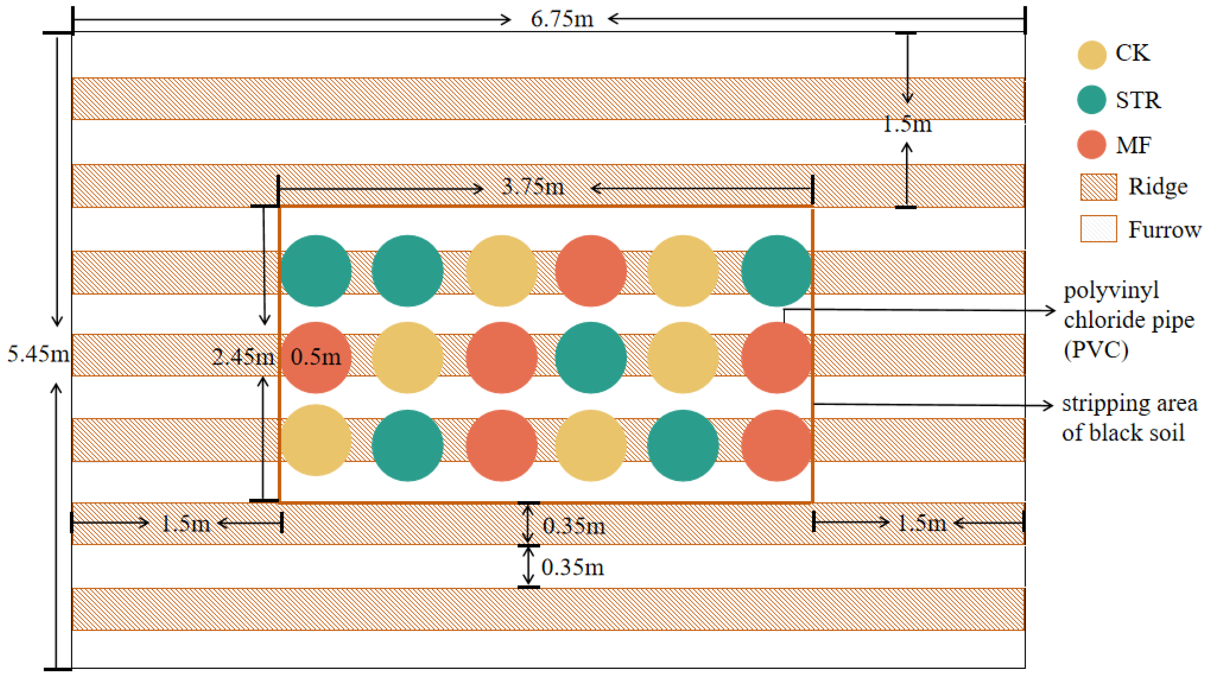 Microorganisms 13 01137 g001