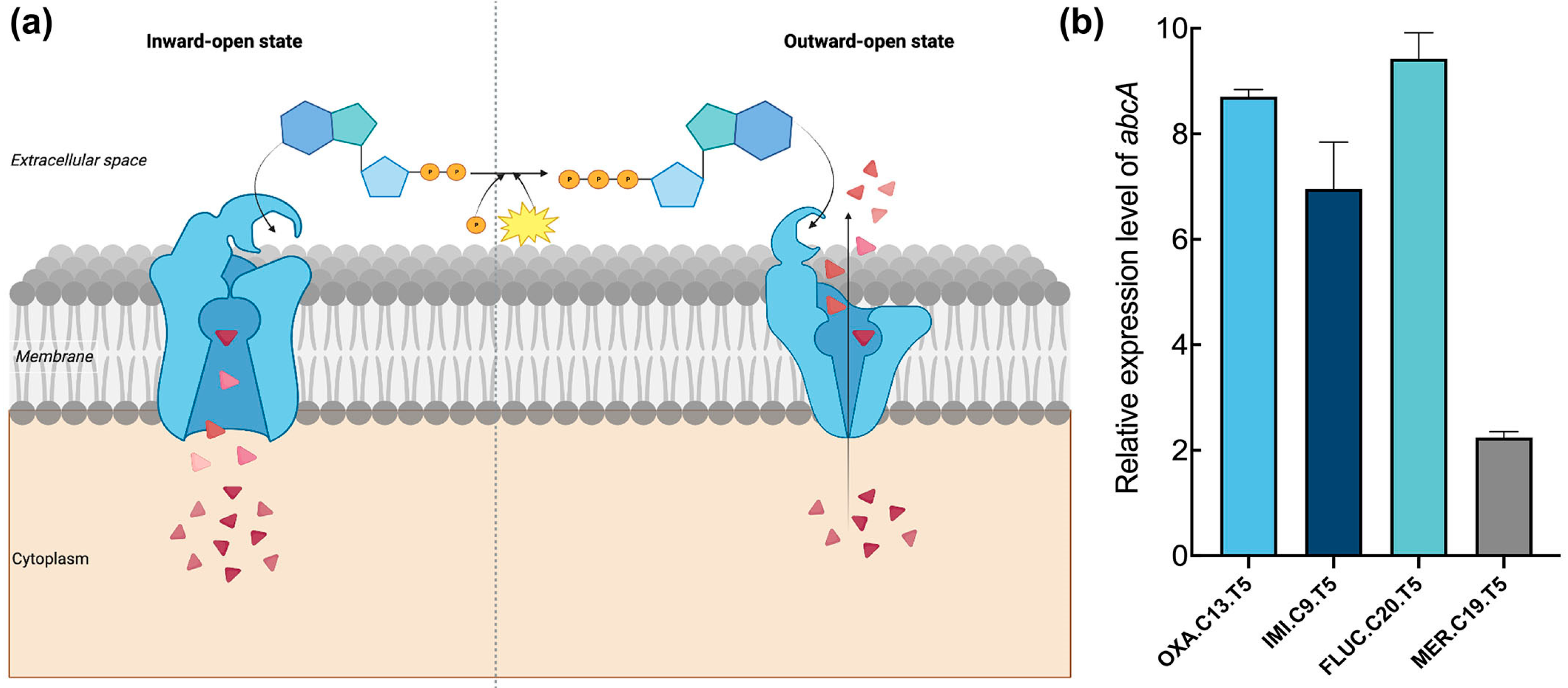Microorganisms 13 01140 g002