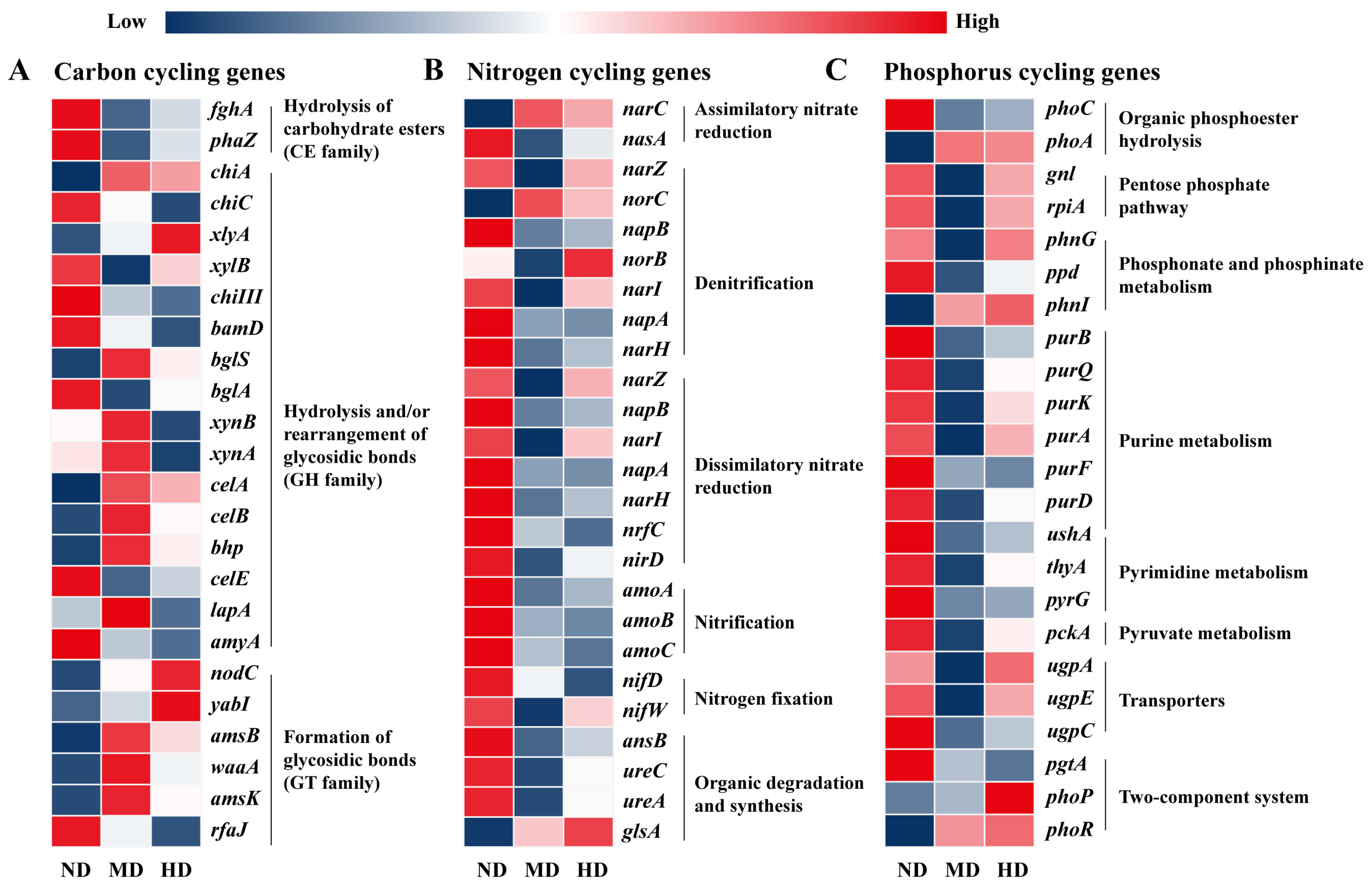 Microorganisms 13 01142 g006