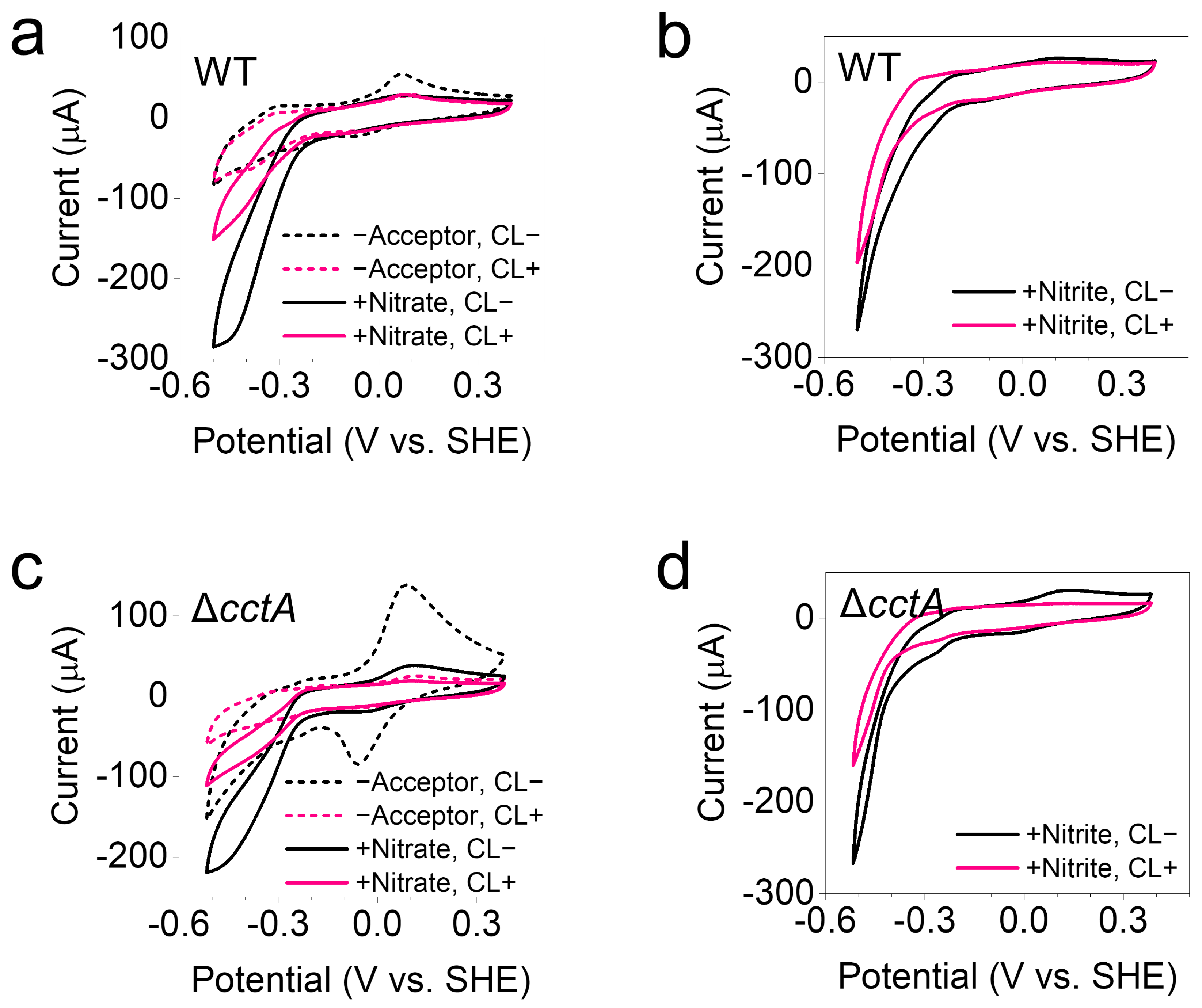 Microorganisms 13 01144 g005