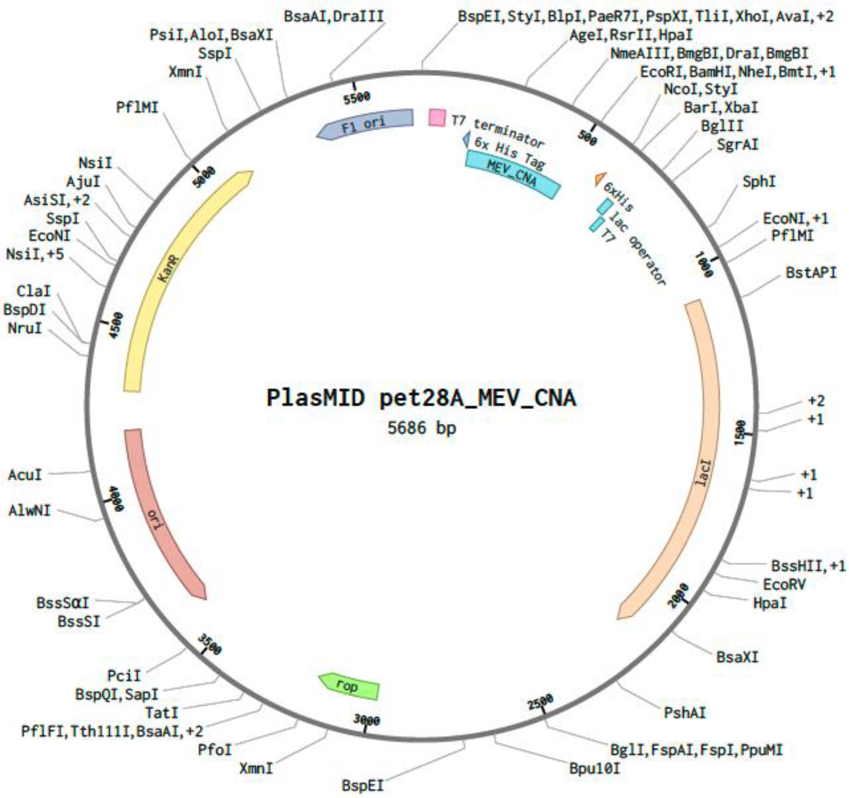 Microorganisms 13 01147 g007
