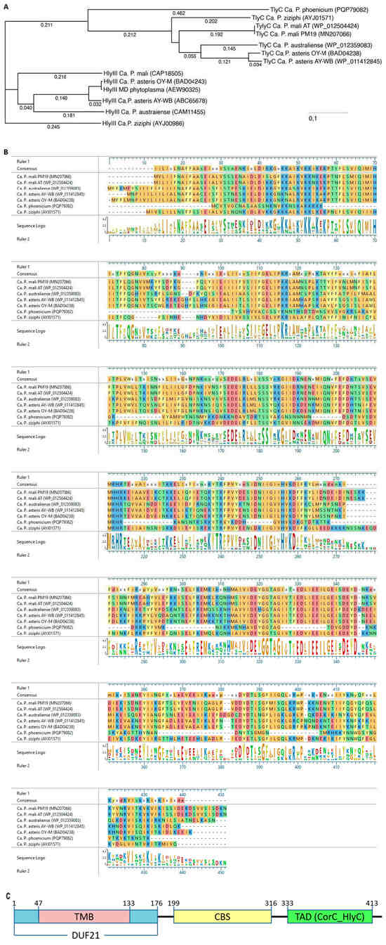 Microorganisms 13 01150 g001