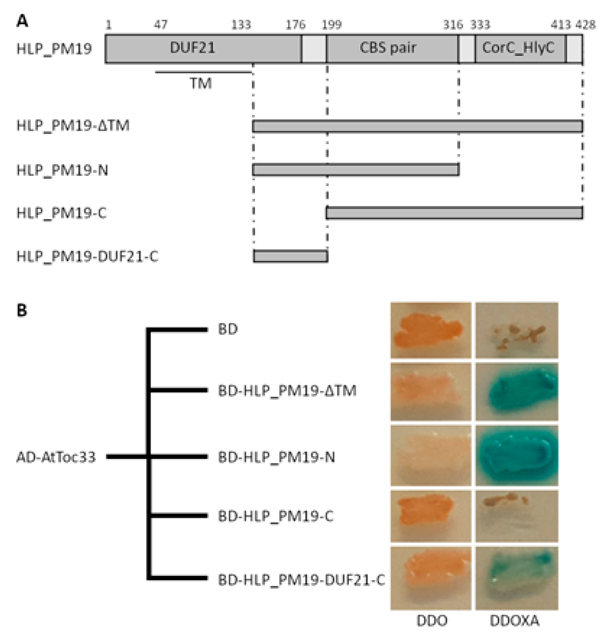 Microorganisms 13 01150 g004
