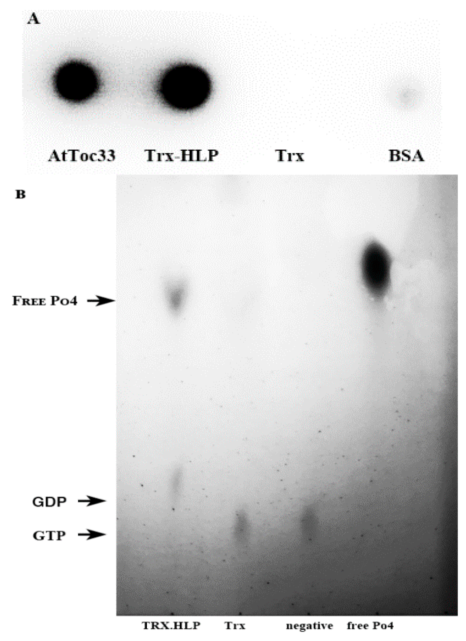 Microorganisms 13 01150 g006