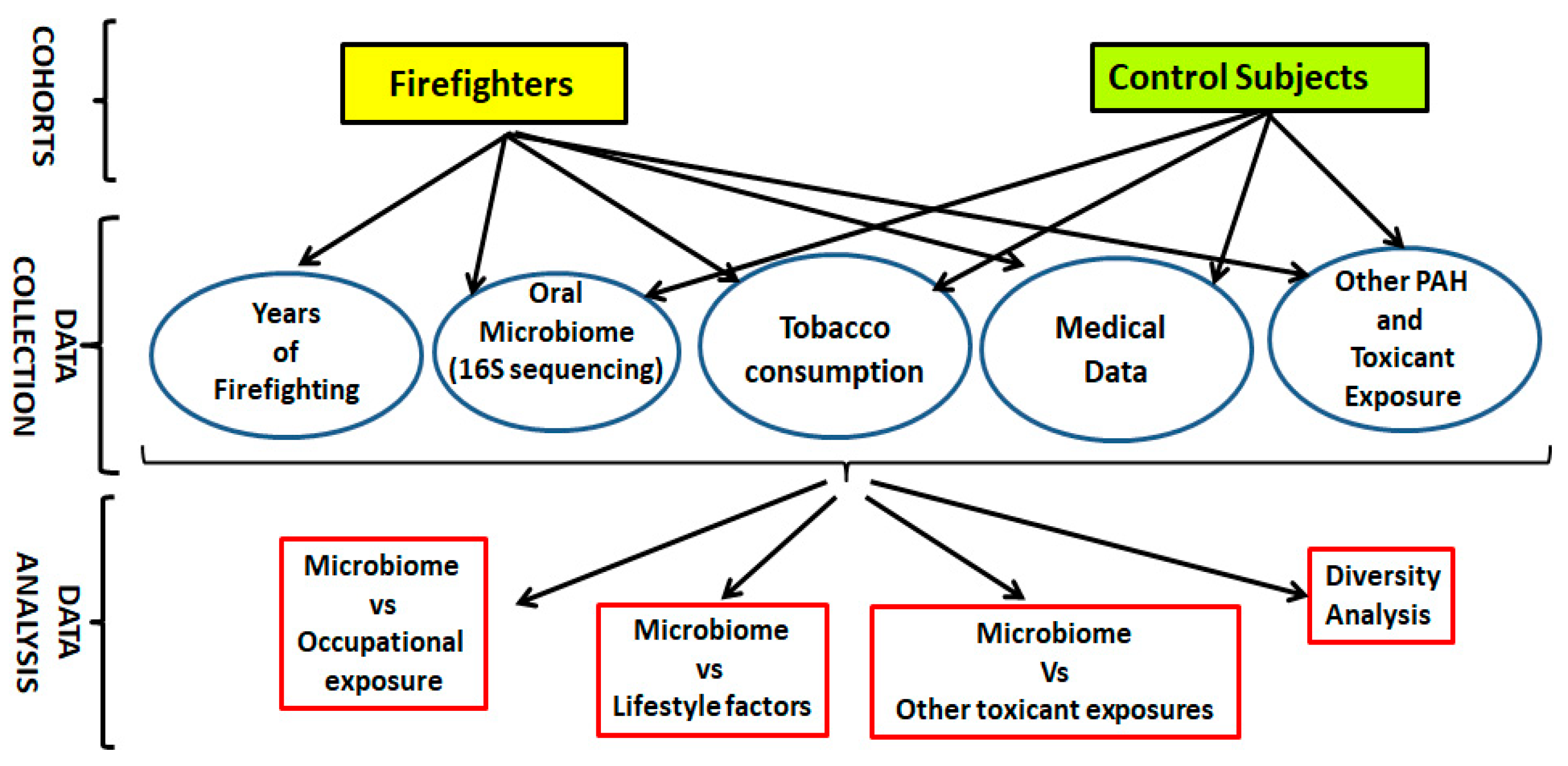 Microorganisms 13 01154 g001