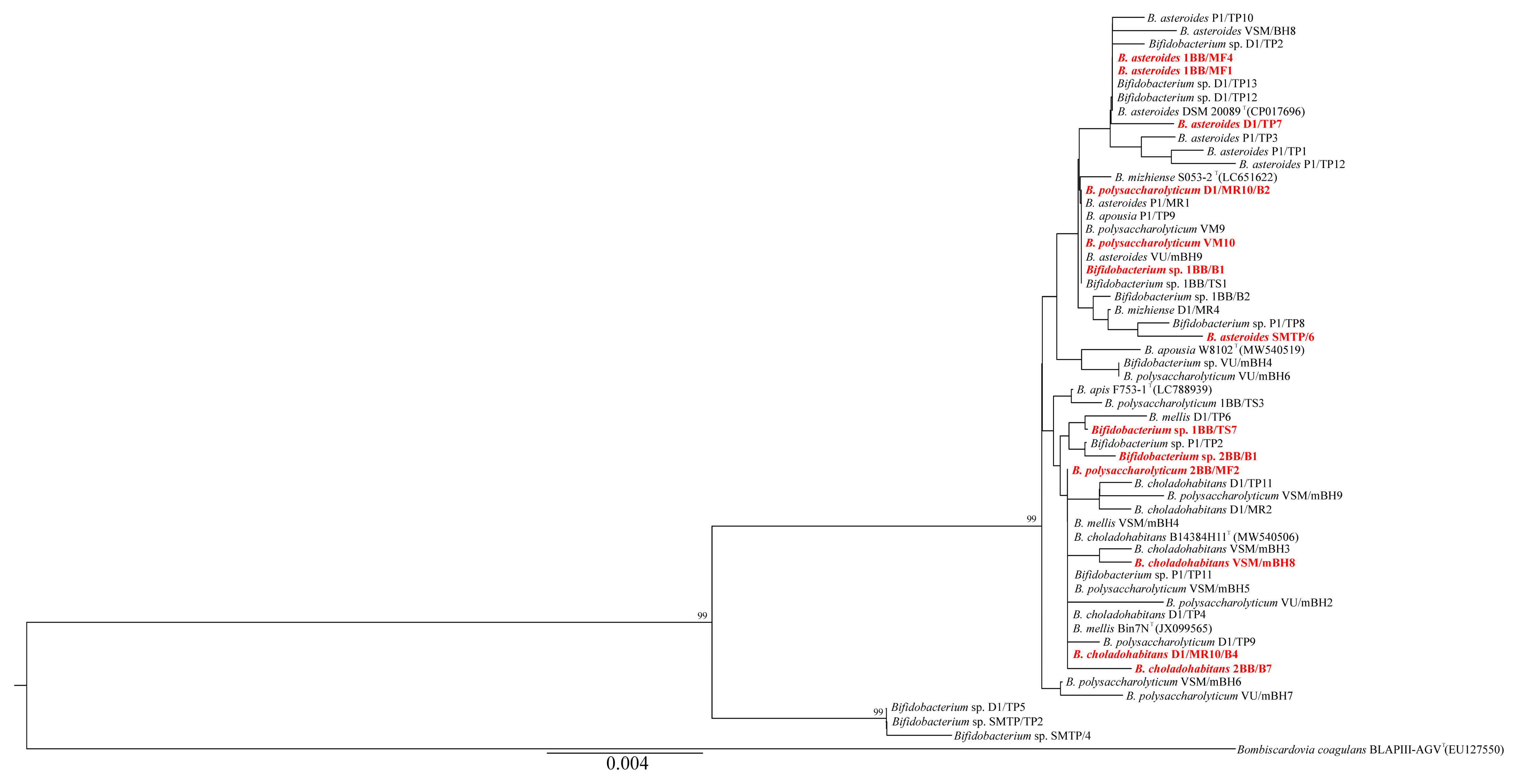 Microorganisms 13 01159 g003