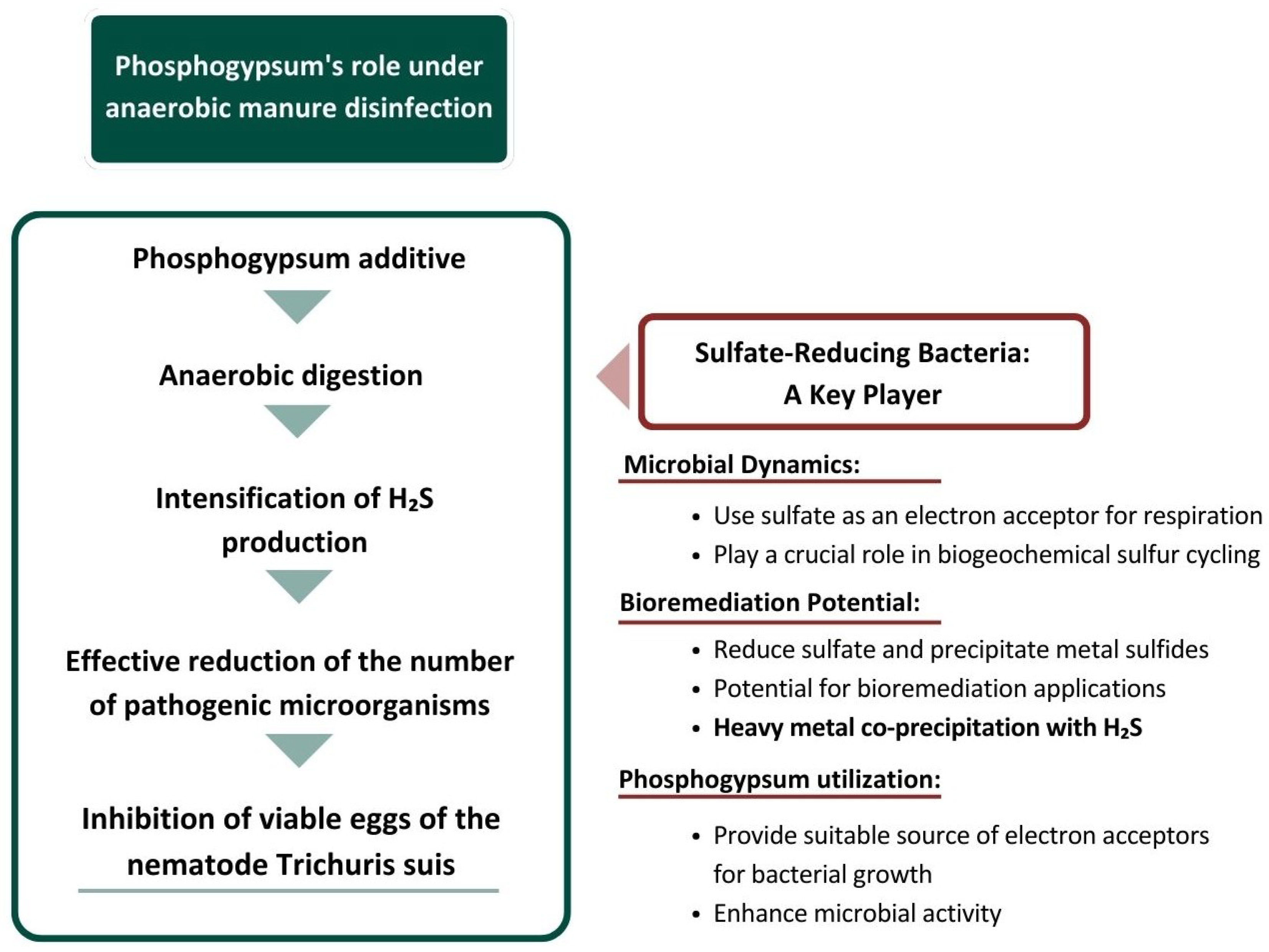 Microorganisms 13 01165 g008