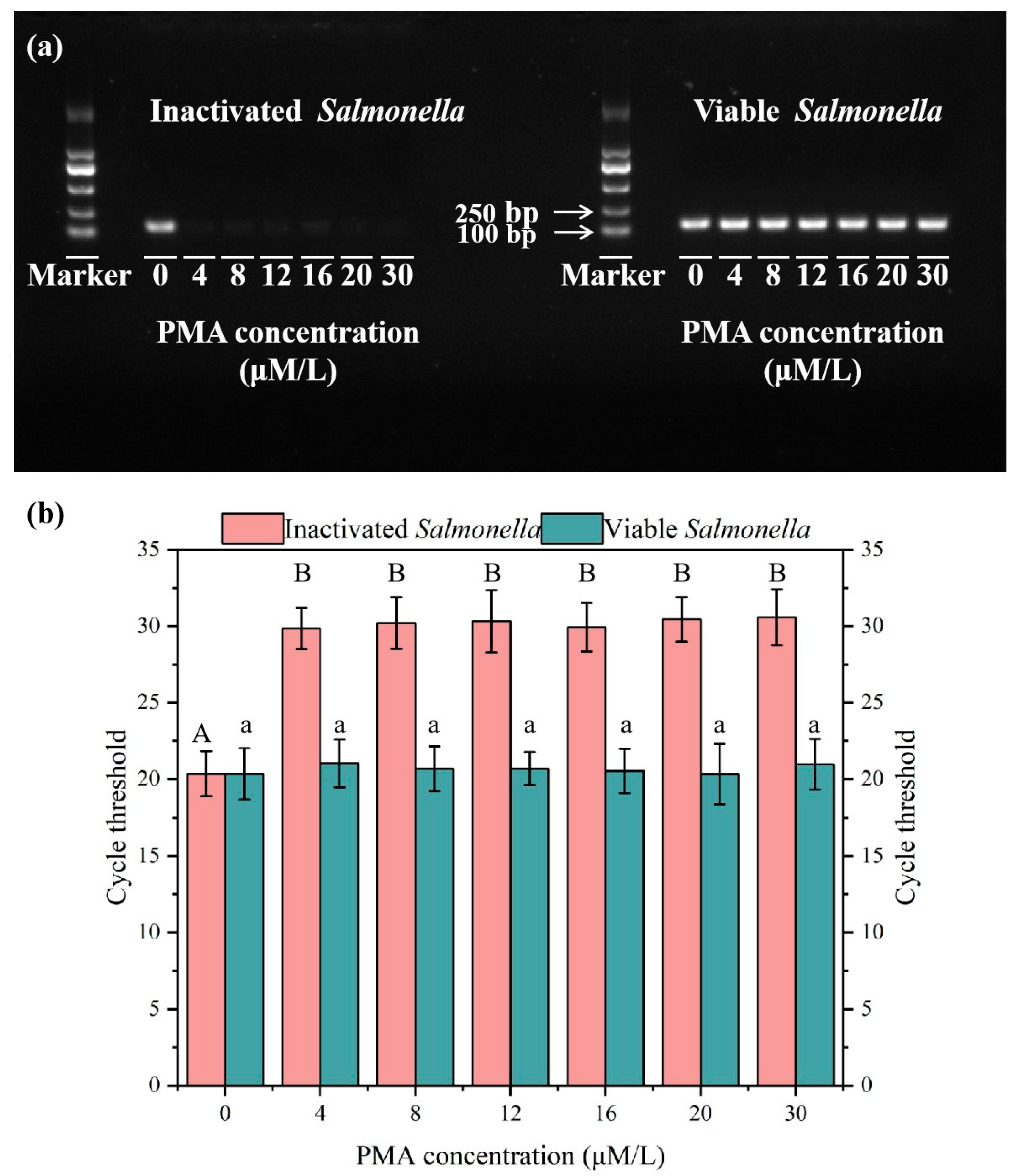 Microorganisms 13 01166 g001