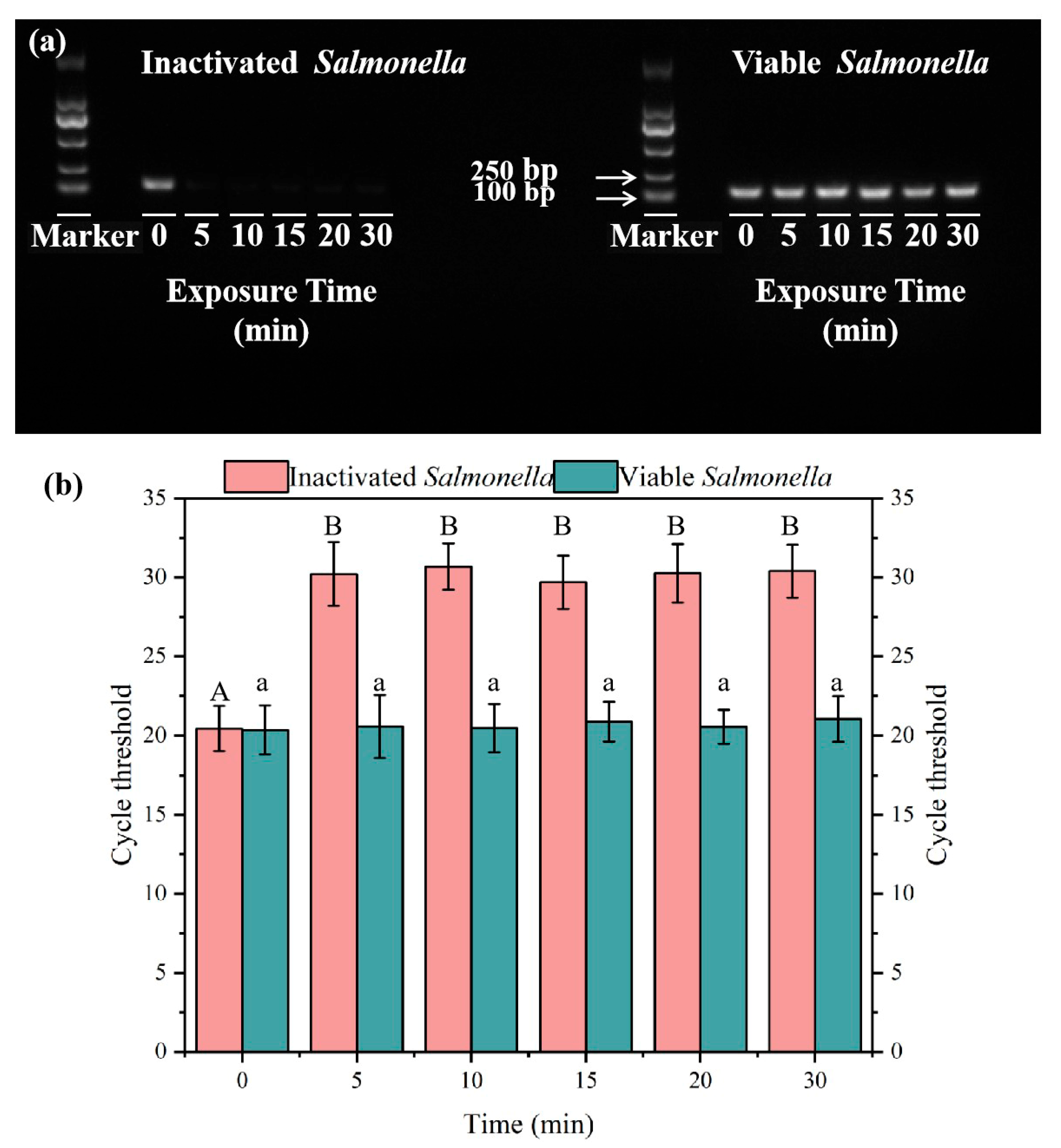 Microorganisms 13 01166 g002