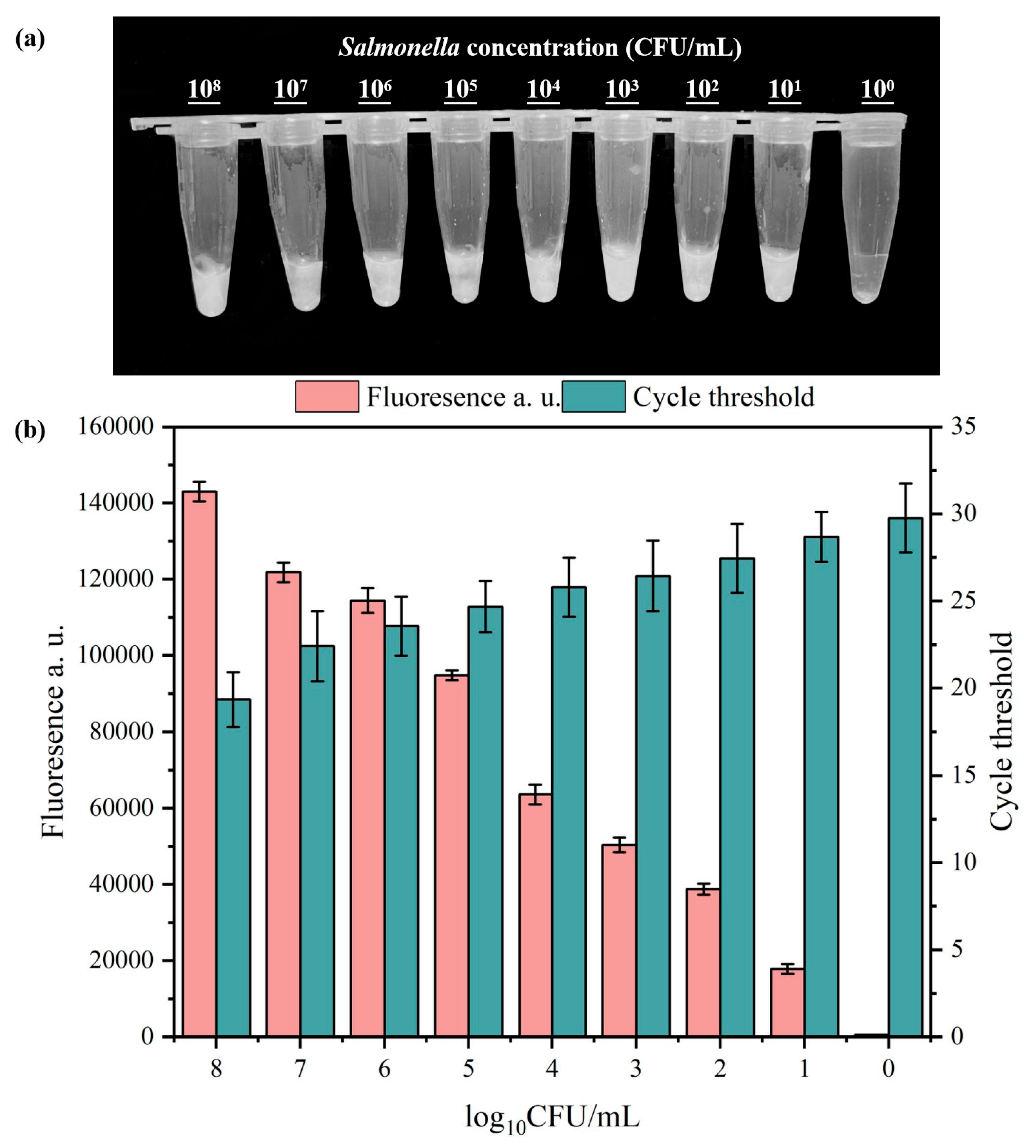 Microorganisms 13 01166 g005