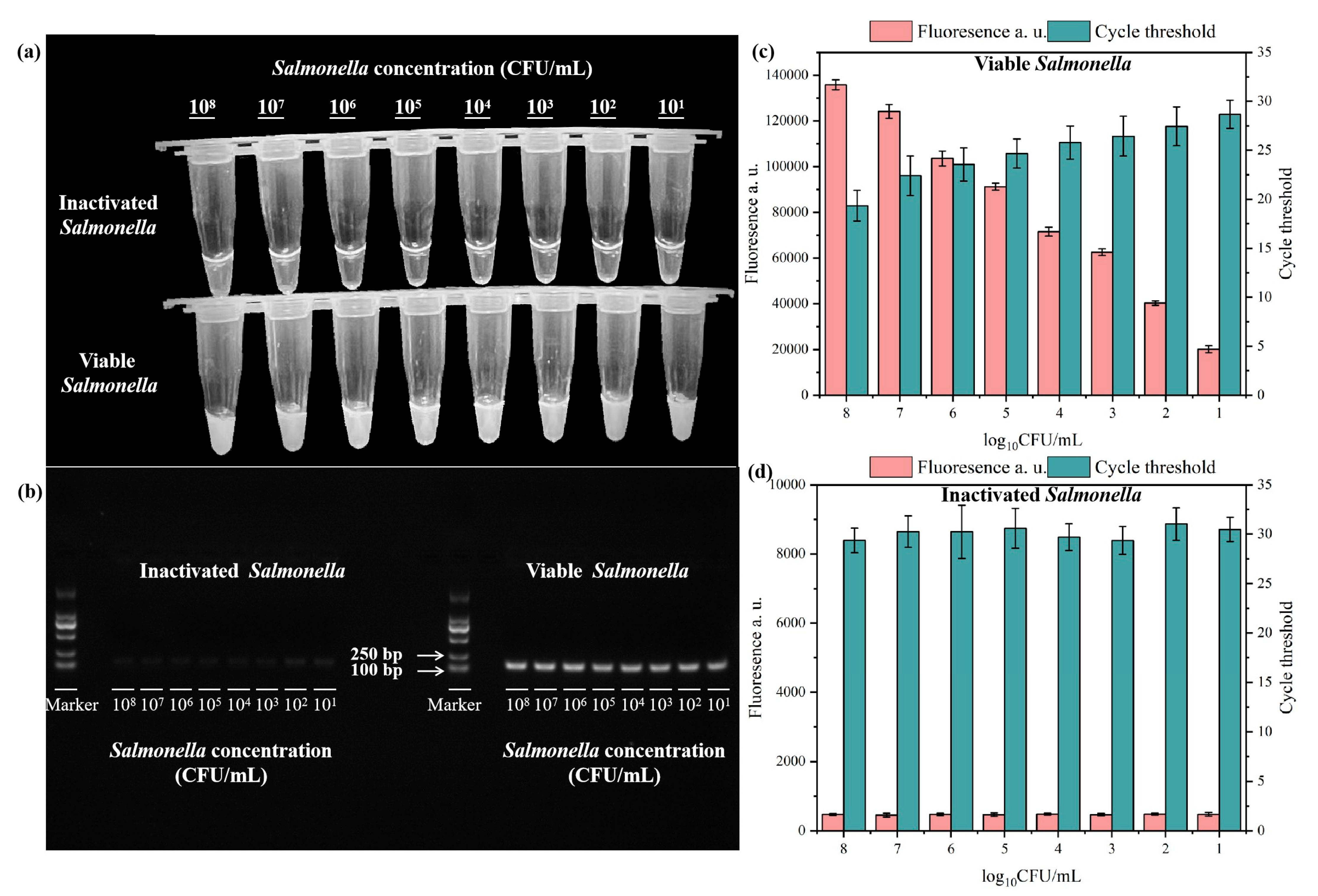Microorganisms 13 01166 g006