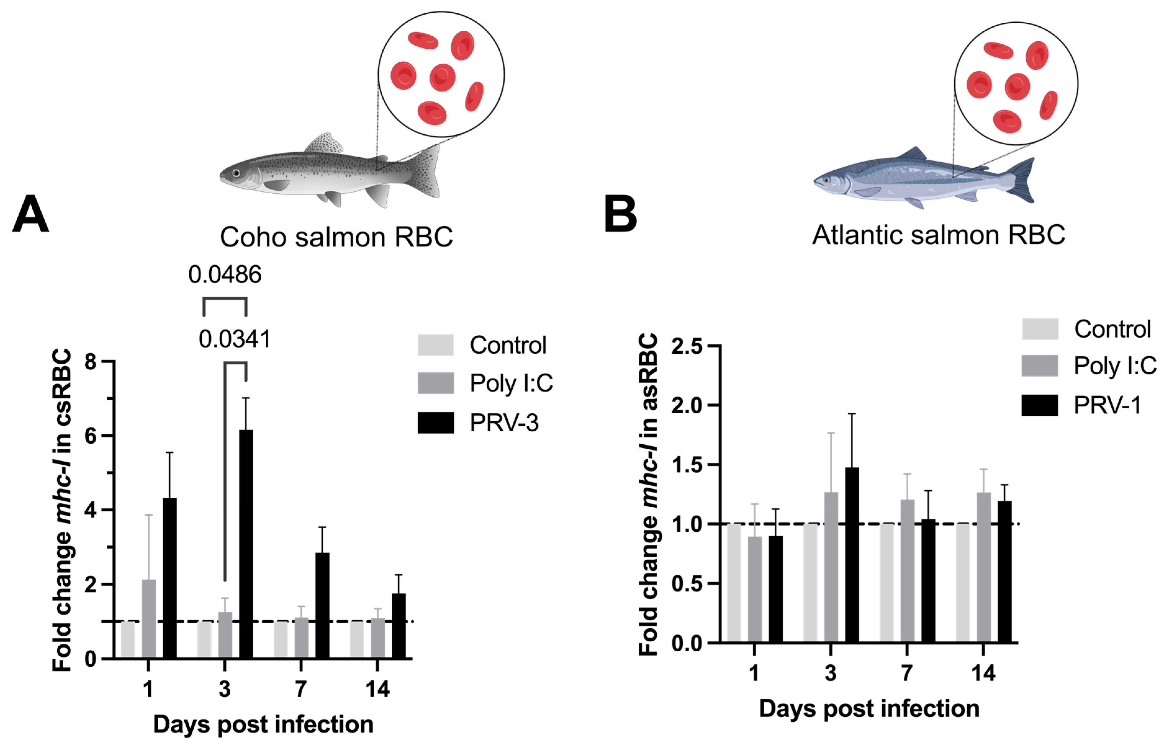 Microorganisms 13 01167 g007
