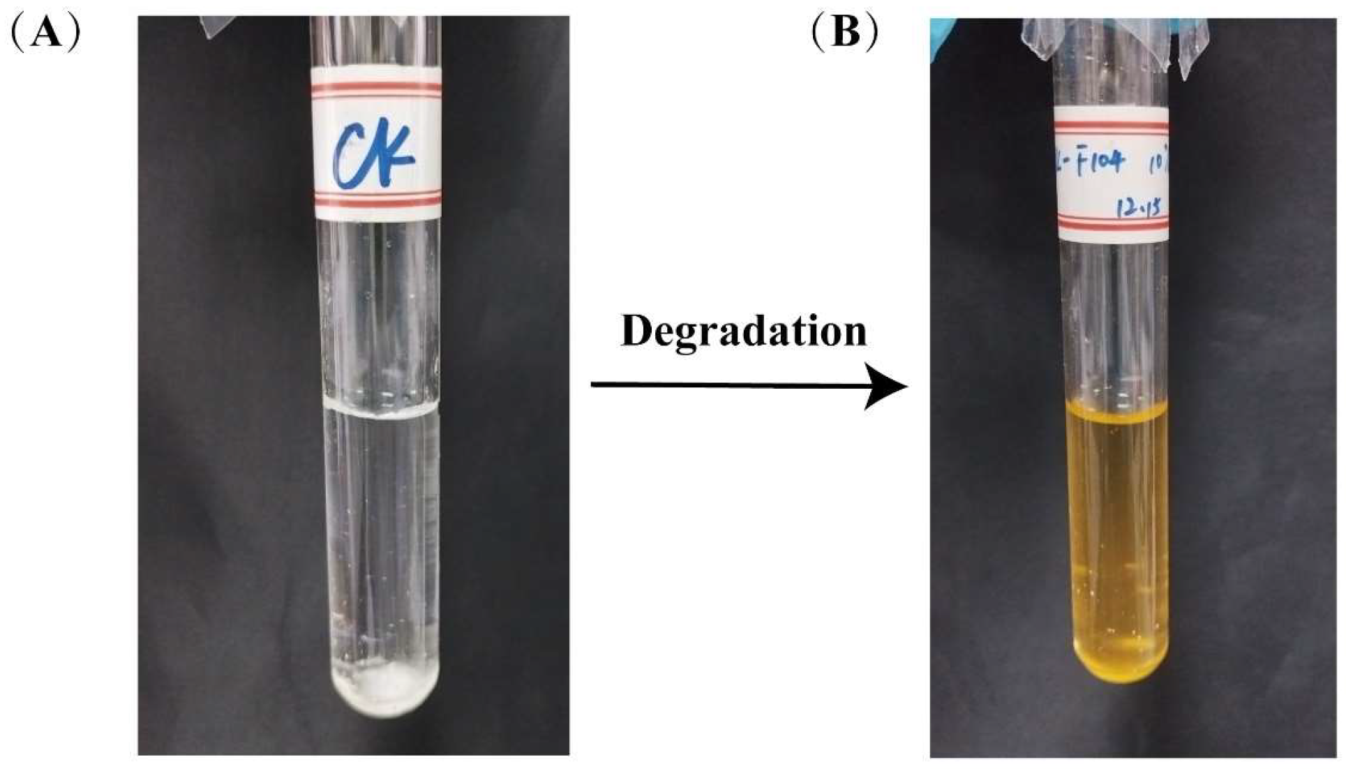 Microorganisms 13 01171 g001