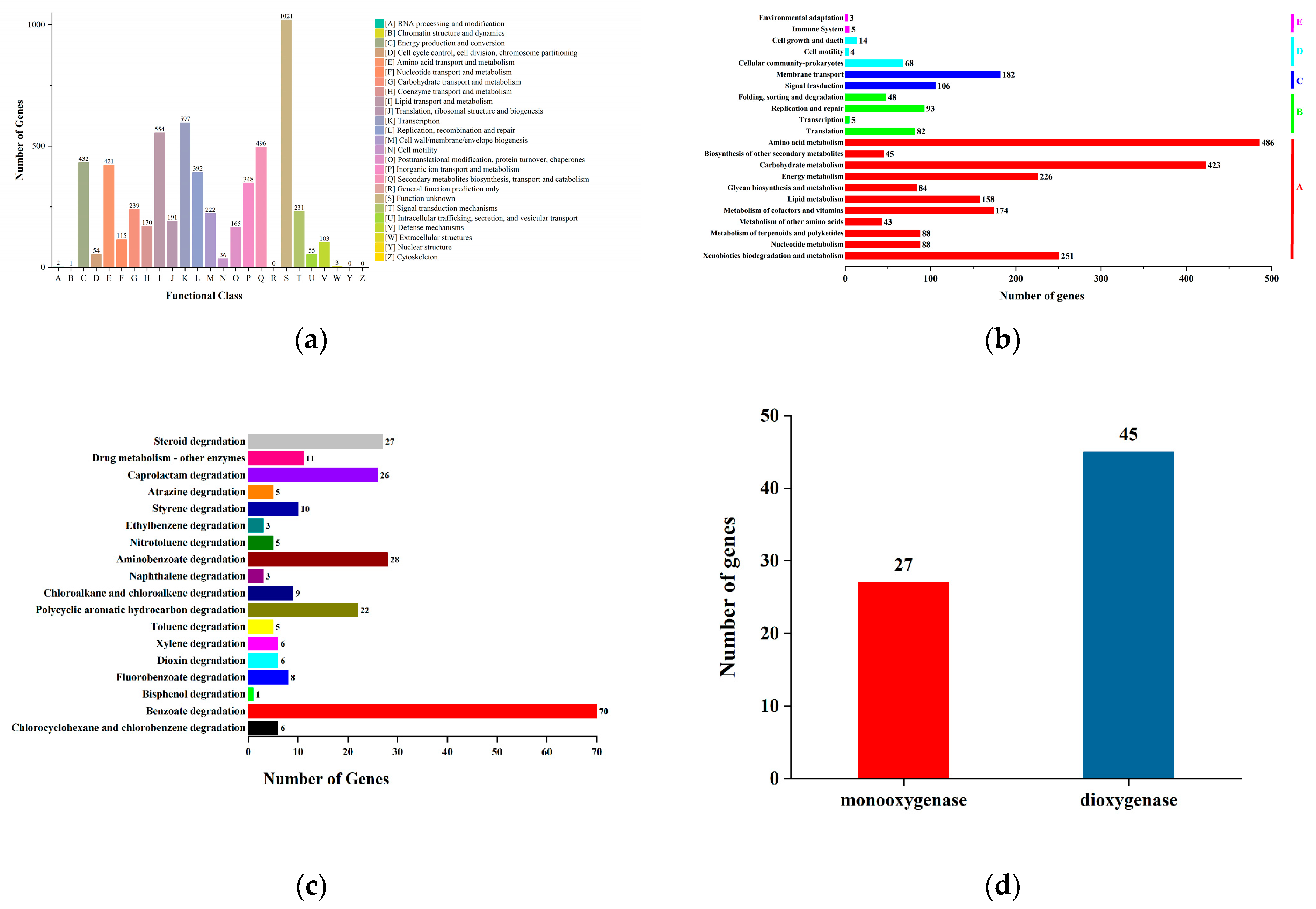 Microorganisms 13 01171 g005