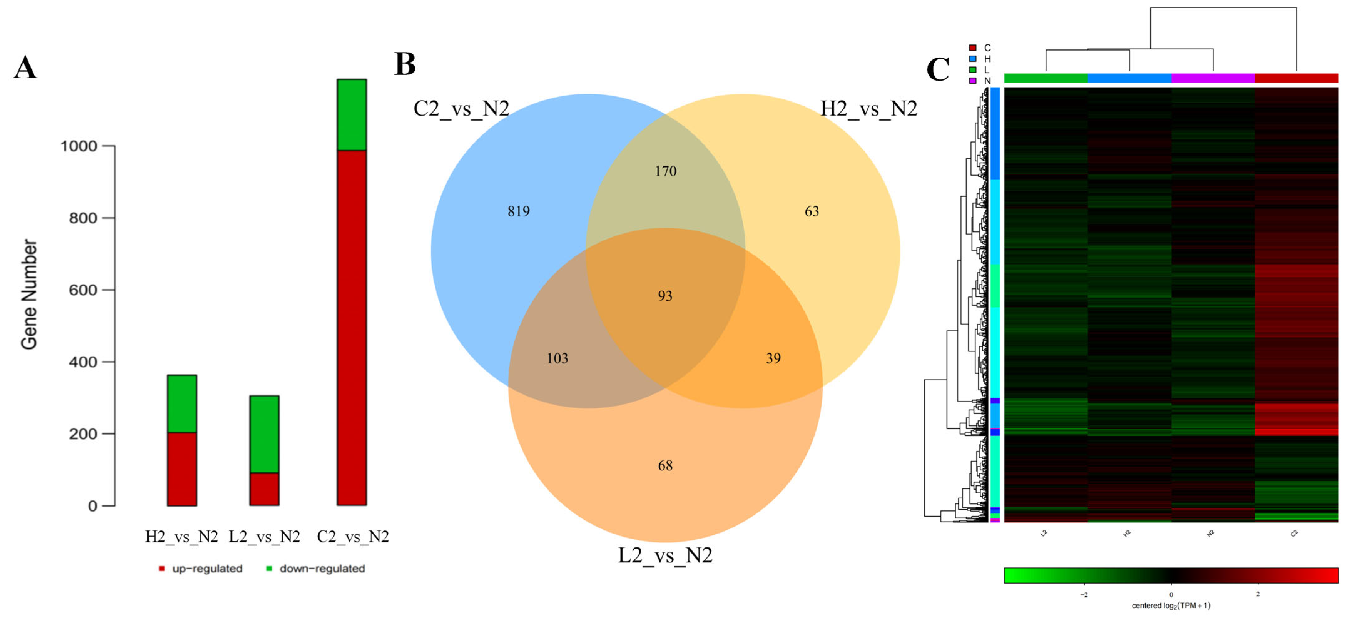 Microorganisms 13 01173 g001