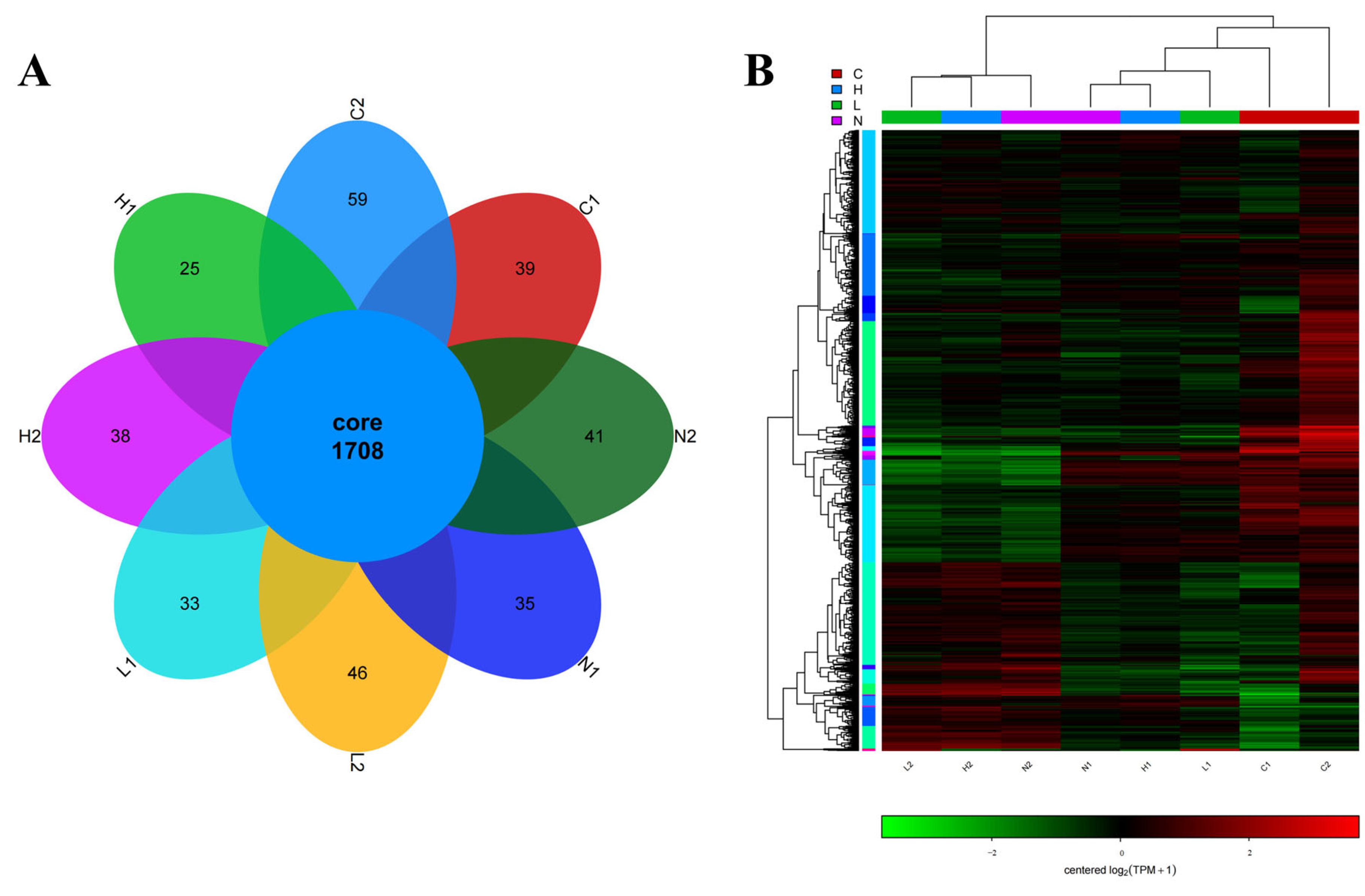 Microorganisms 13 01173 g003